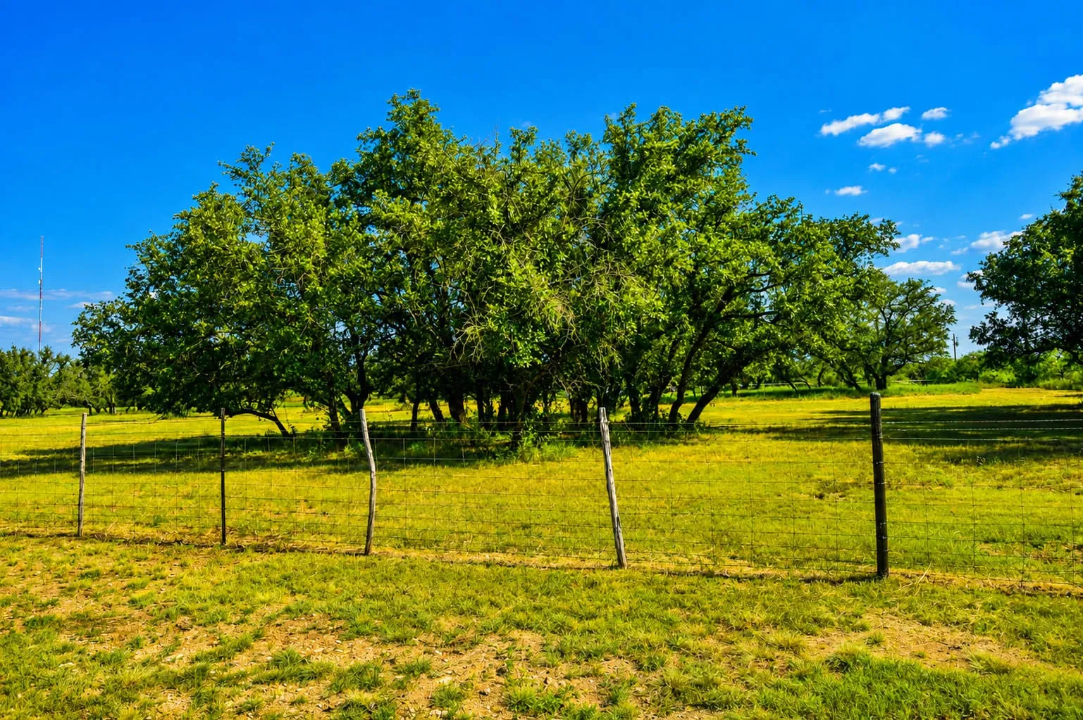 Mobile Home For Sale in Mc Culloch County , 239 County Road 160, Brady, Texas 76825, 3 Bedroom, 2 Bathroom, 2 Garage spaces, 1,326 Sqft, built in 1993, mls#21359916, Real Estate Agent in Brady, Homes For Sale in Mc Culloch county, Homes For Sale in Brady, Realtor in Brady Texas, Real Estate Brokerage Independent Realty Texas, Luminita Cordes Realtor
