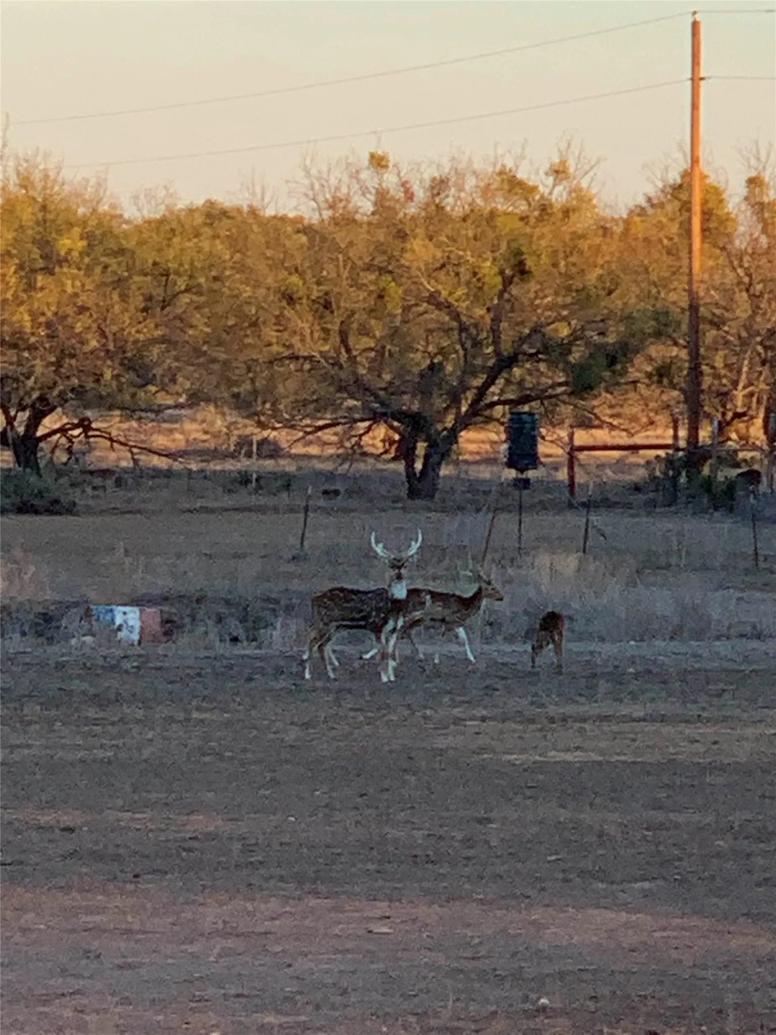 Mobile Home For Sale in Mc Culloch County , 239 County Road 160, Brady, Texas 76825, 3 Bedroom, 2 Bathroom, 2 Garage spaces, 1,326 Sqft, built in 1993, mls#21359916, Real Estate Agent in Brady, Homes For Sale in Mc Culloch county, Homes For Sale in Brady, Realtor in Brady Texas, Real Estate Brokerage Independent Realty Texas, Luminita Cordes Realtor