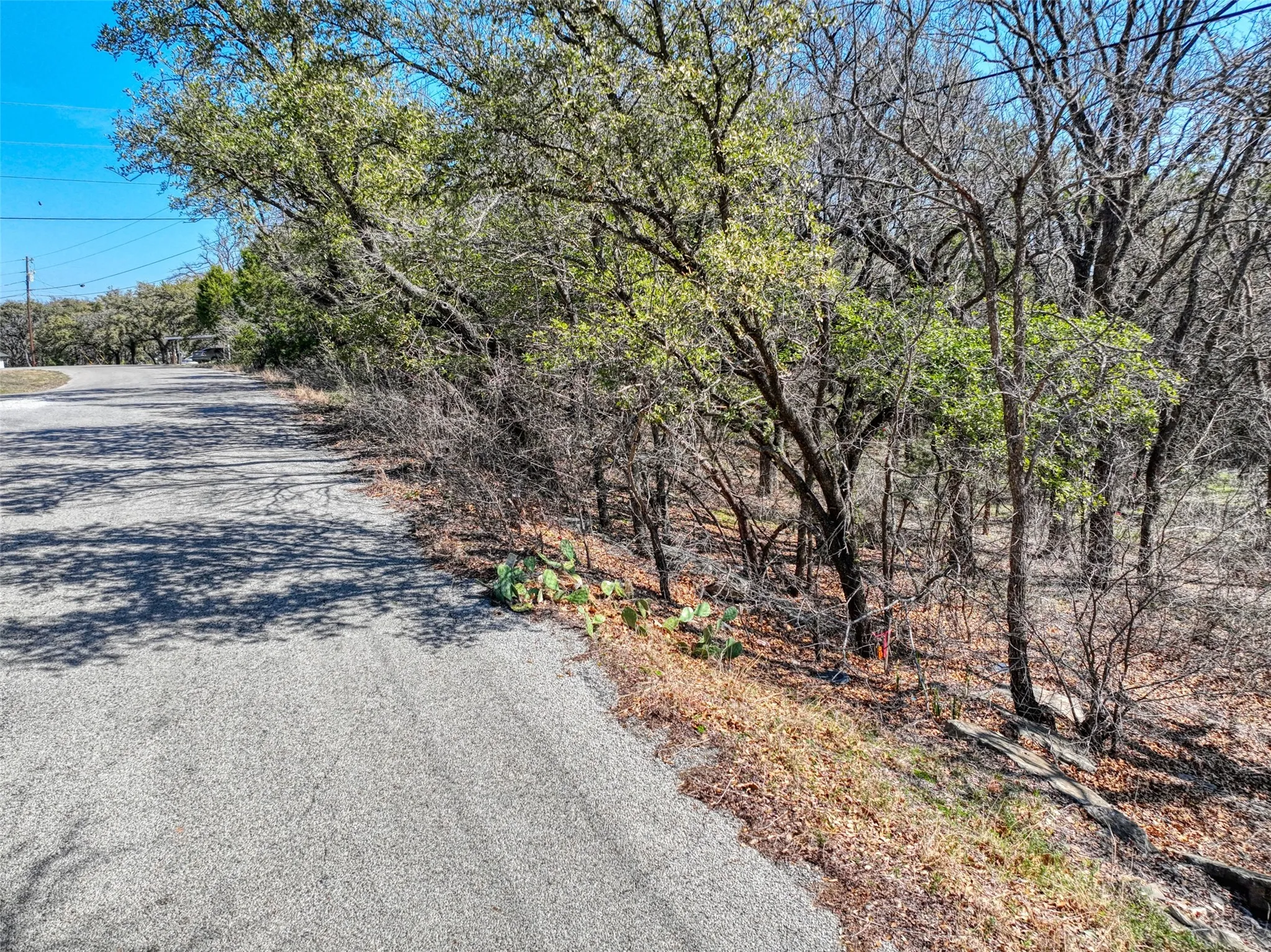 Unimproved Land For Sale in Hood County , 1115 Brazos Drive, Granbury, Texas 76048, 0, 0, Garage spaces, 0 Sqft, built in 0, Price $27,900, mls#21362429, Real Estate Agent in Granbury, Homes For Sale in Hood county, Homes For Sale in Granbury, Realtor in Granbury Texas, Real Estate Brokerage Independent Realty Texas, Luminita Cordes Realtor