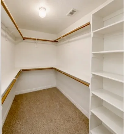Walk-in closet featuring carpet flooring, built-in shelving, and multiple clothing rods