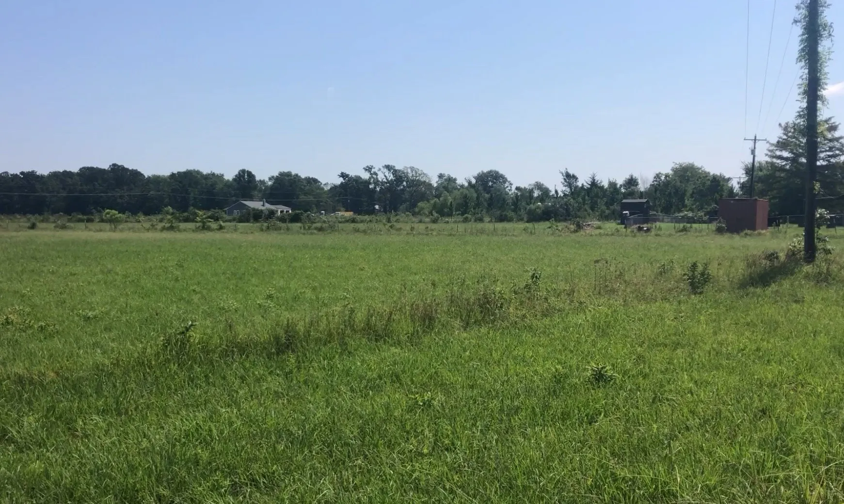 Expansive green field with natural ground cover