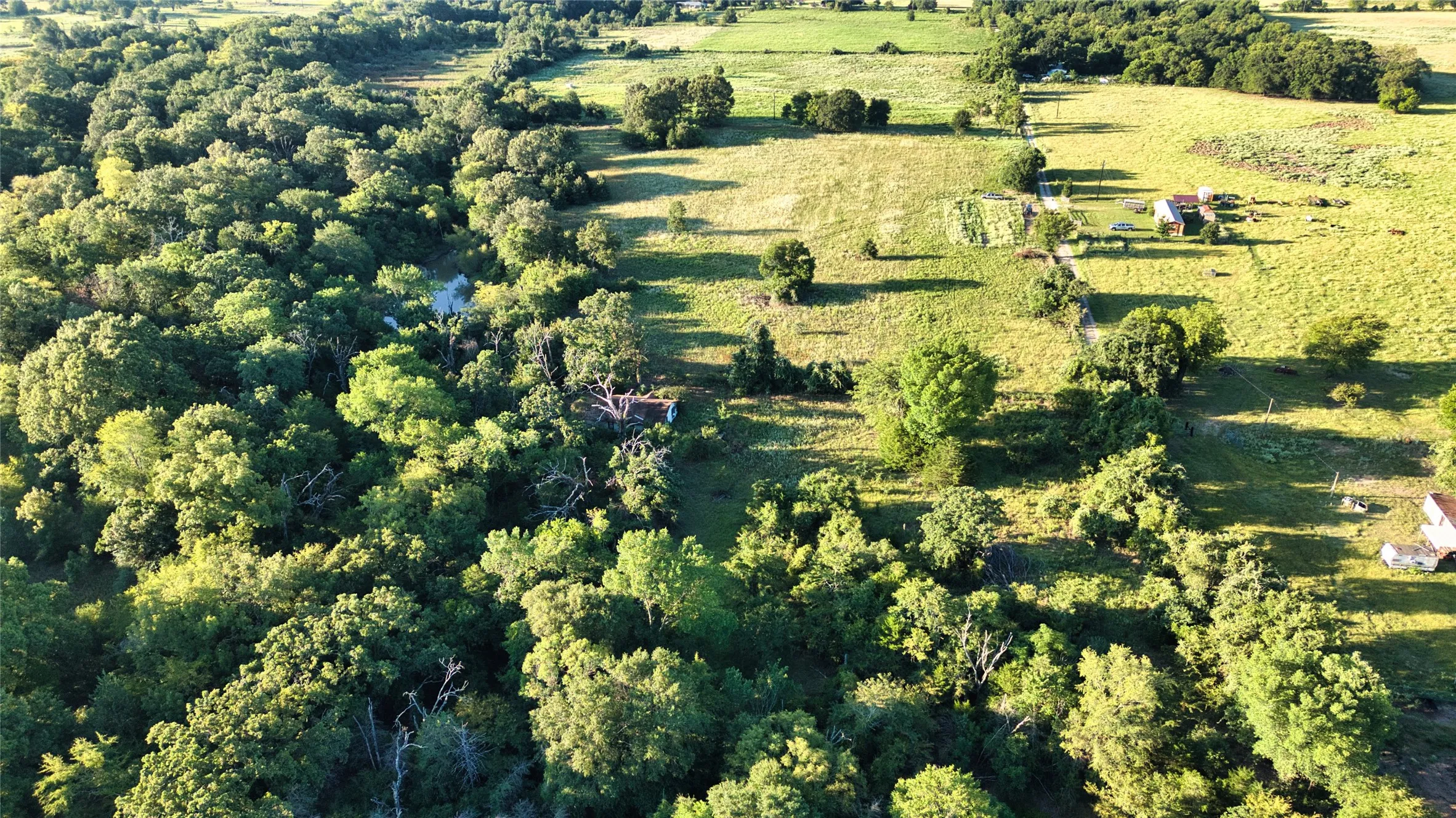 Ranch For Sale in Anderson County , 0 AN County Road 2605, Tennessee Colony, Texas 75861, 0, 0, Garage spaces, 0 Sqft, built in 0, mls#21346538, Real Estate Agent in Tennessee Colony, Homes For Sale in Anderson county, Homes For Sale in Tennessee Colony, Realtor in Tennessee Colony Texas, Real Estate Brokerage Independent Realty Texas, Luminita Cordes Realtor