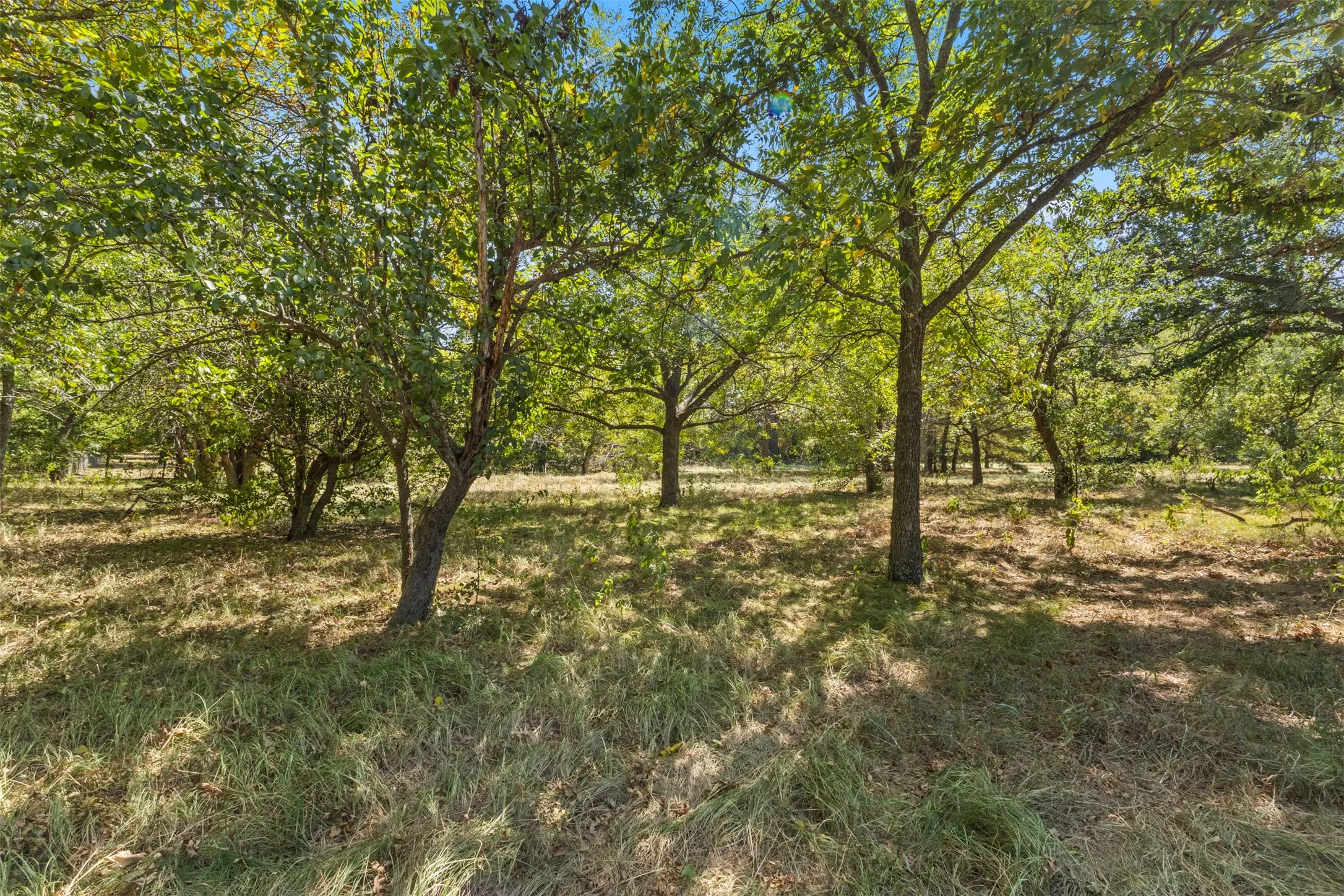 Improved Land For Sale in Kaufman County , 145 Fm 1389 N, Combine, Texas 75159, 0, 0, Garage spaces, 0 Sqft, built in 1950, Price $300,000, mls#21360847, Real Estate Agent in Combine, Homes For Sale in Kaufman county, Homes For Sale in Combine, Realtor in Combine Texas, Real Estate Brokerage Independent Realty Texas, Luminita Cordes Realtor
