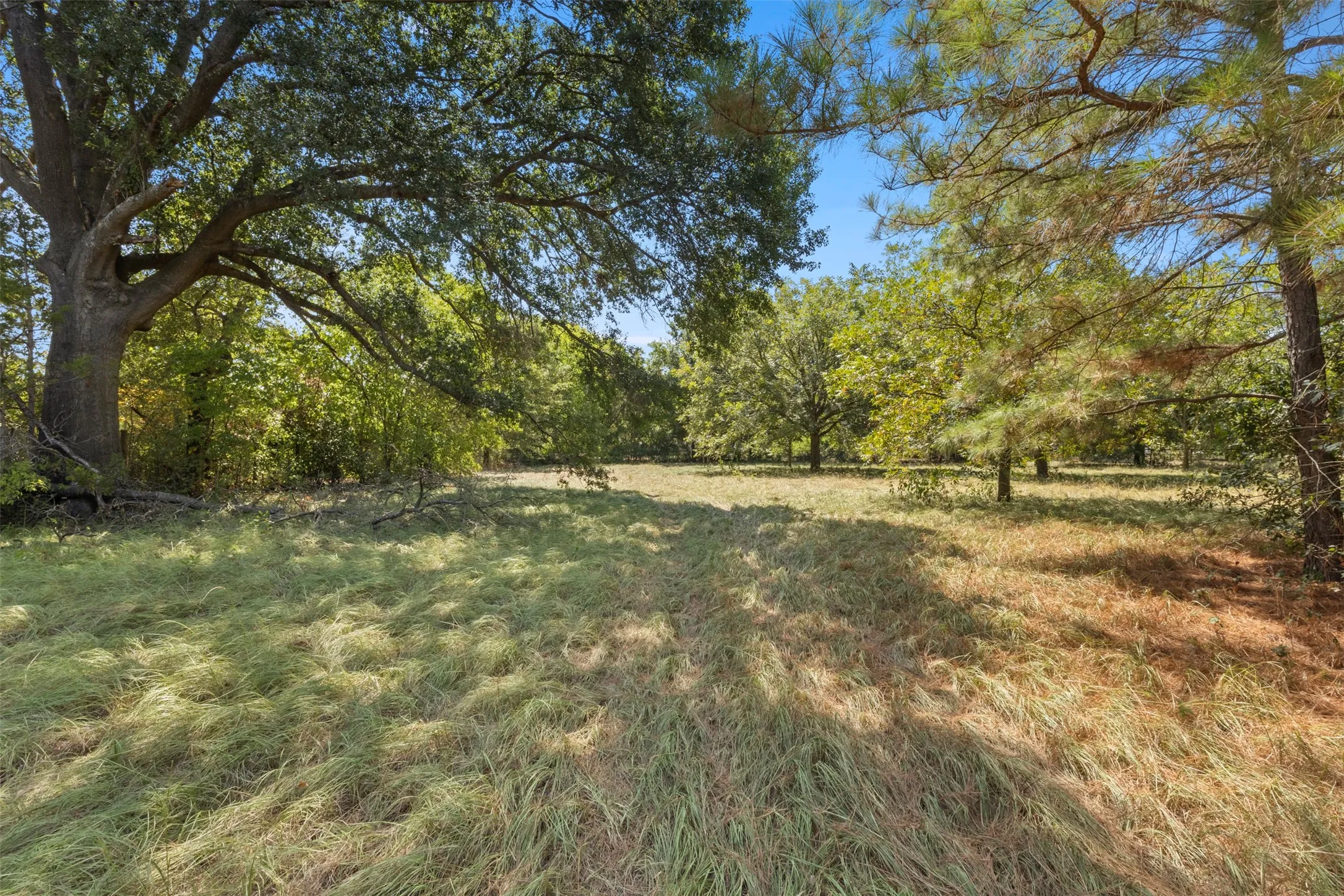 Improved Land For Sale in Kaufman County , 145 Fm 1389 N, Combine, Texas 75159, 0, 0, Garage spaces, 0 Sqft, built in 1950, Price $300,000, mls#21360847, Real Estate Agent in Combine, Homes For Sale in Kaufman county, Homes For Sale in Combine, Realtor in Combine Texas, Real Estate Brokerage Independent Realty Texas, Luminita Cordes Realtor
