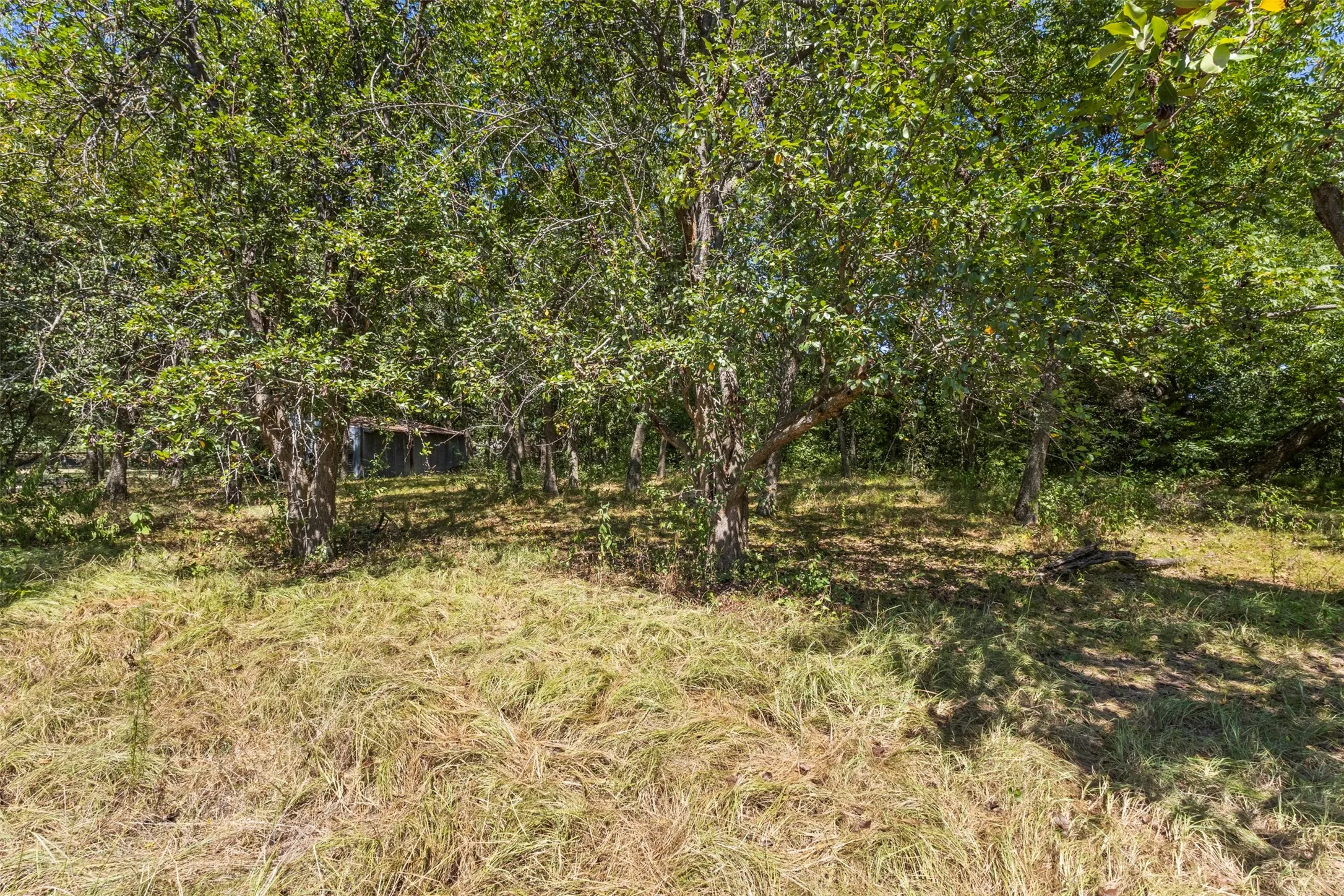 Improved Land For Sale in Kaufman County , 145 Fm 1389 N, Combine, Texas 75159, 0, 0, Garage spaces, 0 Sqft, built in 1950, Price $300,000, mls#21360847, Real Estate Agent in Combine, Homes For Sale in Kaufman county, Homes For Sale in Combine, Realtor in Combine Texas, Real Estate Brokerage Independent Realty Texas, Luminita Cordes Realtor
