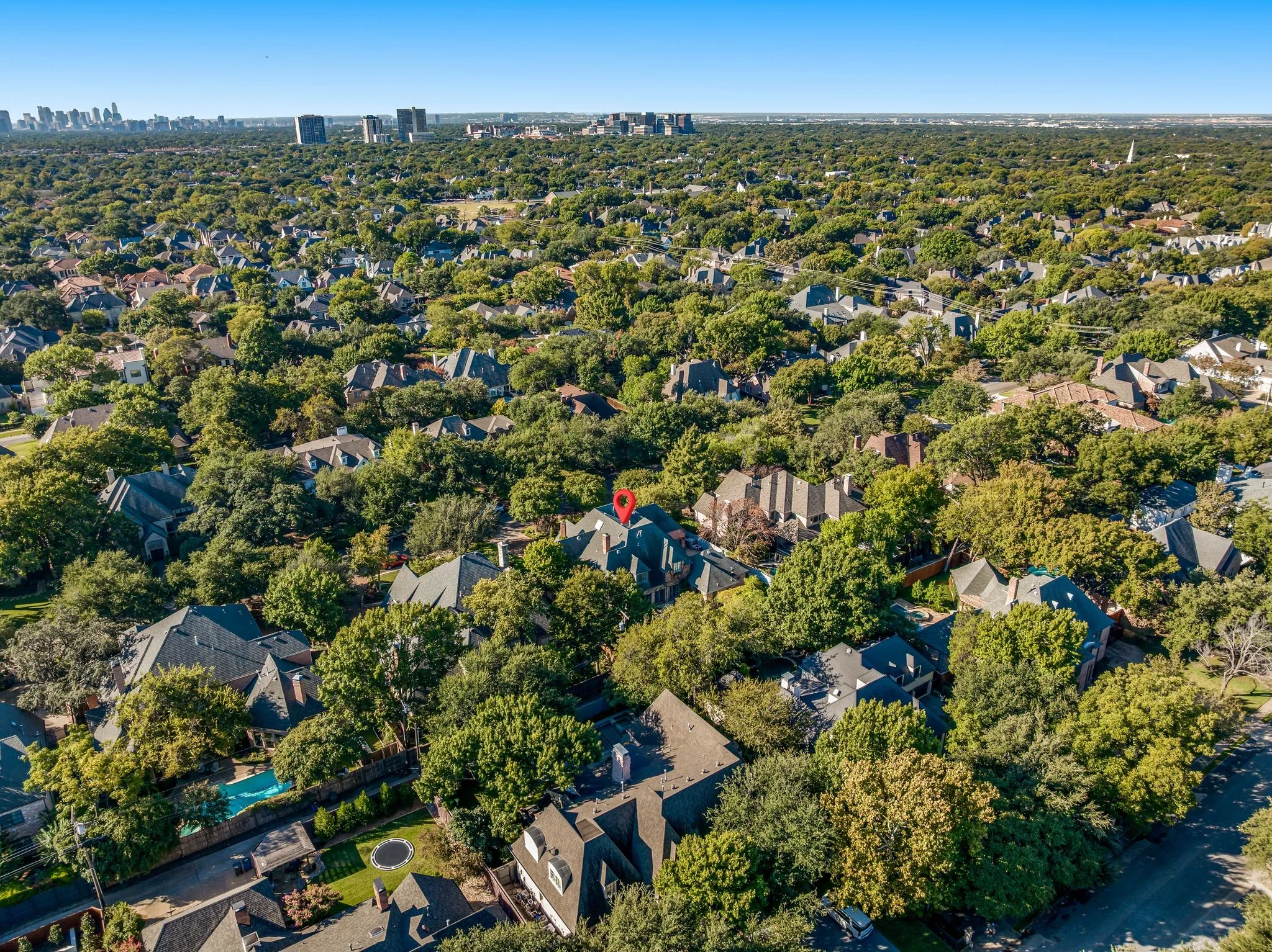Expansive tree-lined neighborhood with a distant cityscape