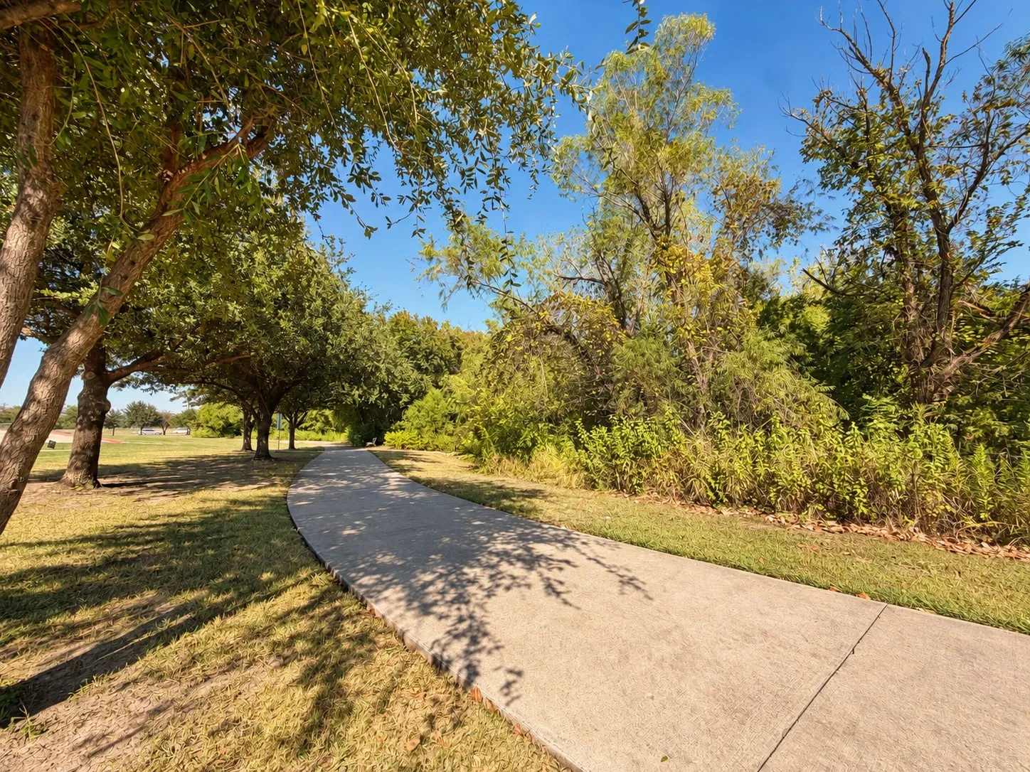 Single Family Residence For Sale in Collin County , 6804 Whitestone Drive, Mc Kinney, Texas 75070, 3 Bedroom, 2 Bathroom, 2 Garage spaces, 2,110 Sqft, built in 2003, mls#21362478, Real Estate Agent in Mc Kinney, Homes For Sale in Collin county, Homes For Sale in Mc Kinney, Realtor in Mc Kinney Texas, Real Estate Brokerage Independent Realty Texas, Luminita Cordes Realtor