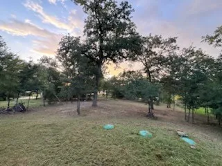 Expansive outdoor area featuring mature trees and septic - sloped terrain