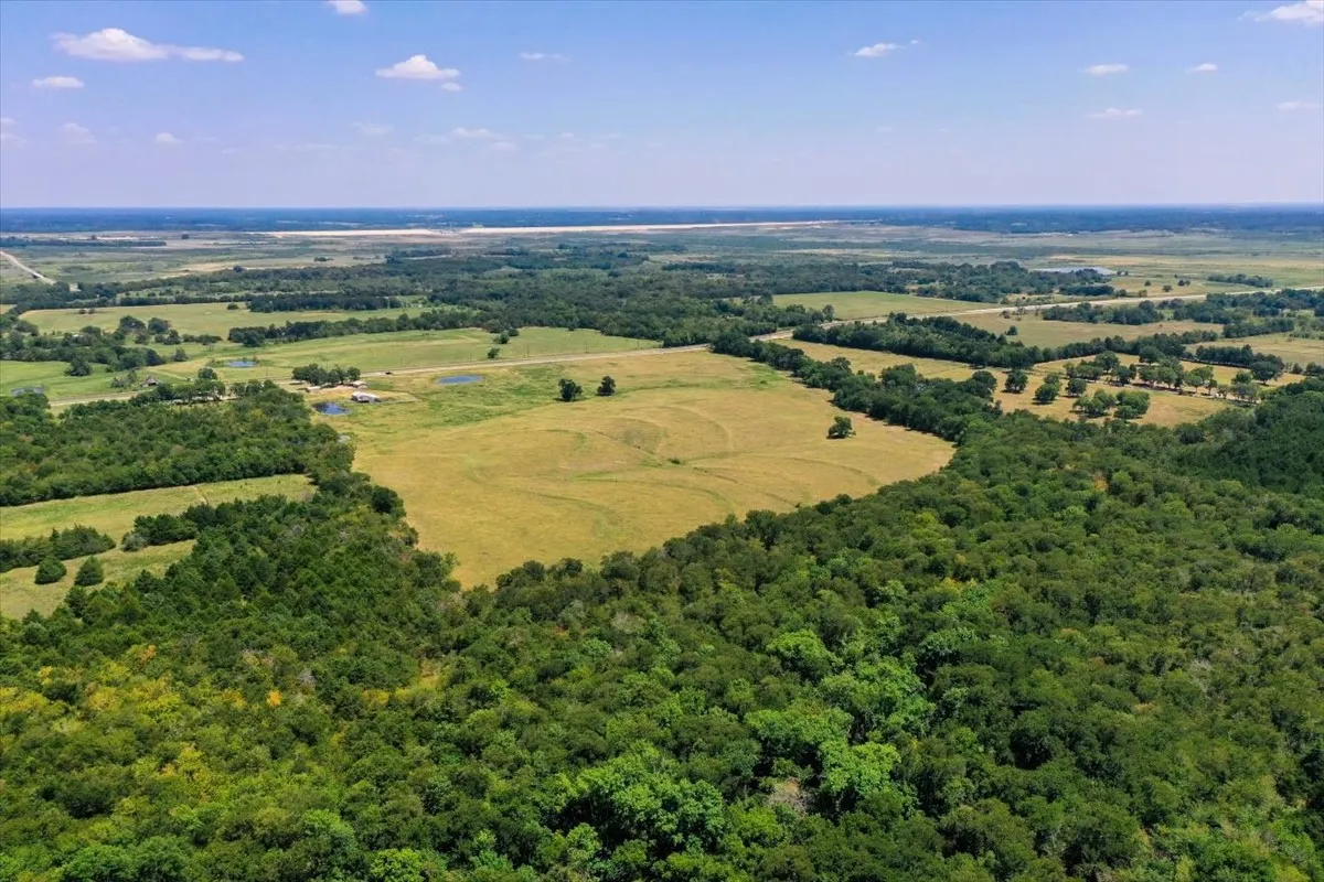 Improved Land For Sale in Fannin County , tbd Hwy 34, Ladonia, Texas 75449, 0, 0, Garage spaces, 0 Sqft, built in 0, Price $1,900,000, mls#21362516, Real Estate Agent in Ladonia, Homes For Sale in Fannin county, Homes For Sale in Ladonia, Realtor in Ladonia Texas, Real Estate Brokerage Independent Realty Texas, Luminita Cordes Realtor