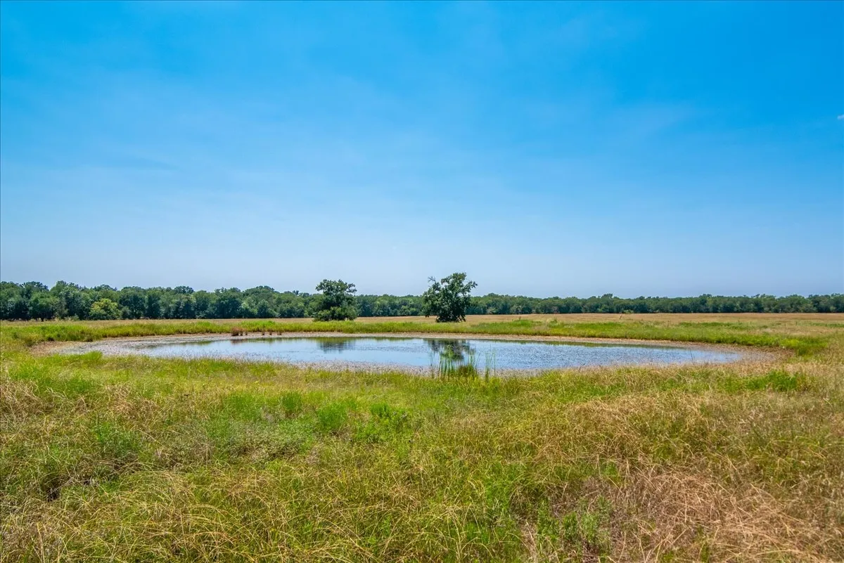 Improved Land For Sale in Fannin County , tbd Hwy 34, Ladonia, Texas 75449, 0, 0, Garage spaces, 0 Sqft, built in 0, Price $1,900,000, mls#21362516, Real Estate Agent in Ladonia, Homes For Sale in Fannin county, Homes For Sale in Ladonia, Realtor in Ladonia Texas, Real Estate Brokerage Independent Realty Texas, Luminita Cordes Realtor