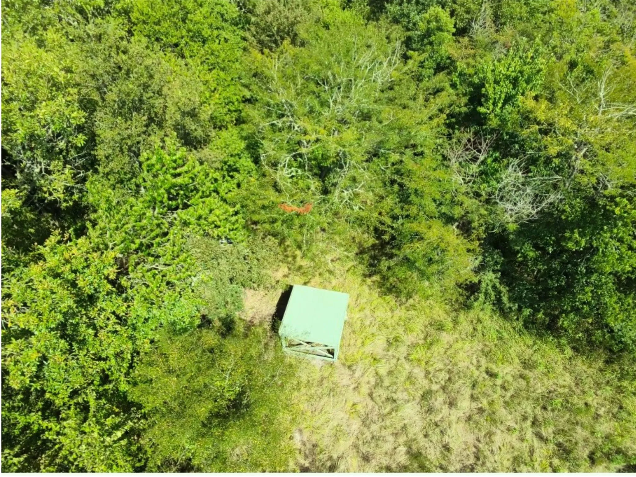 Aerial view of the property
