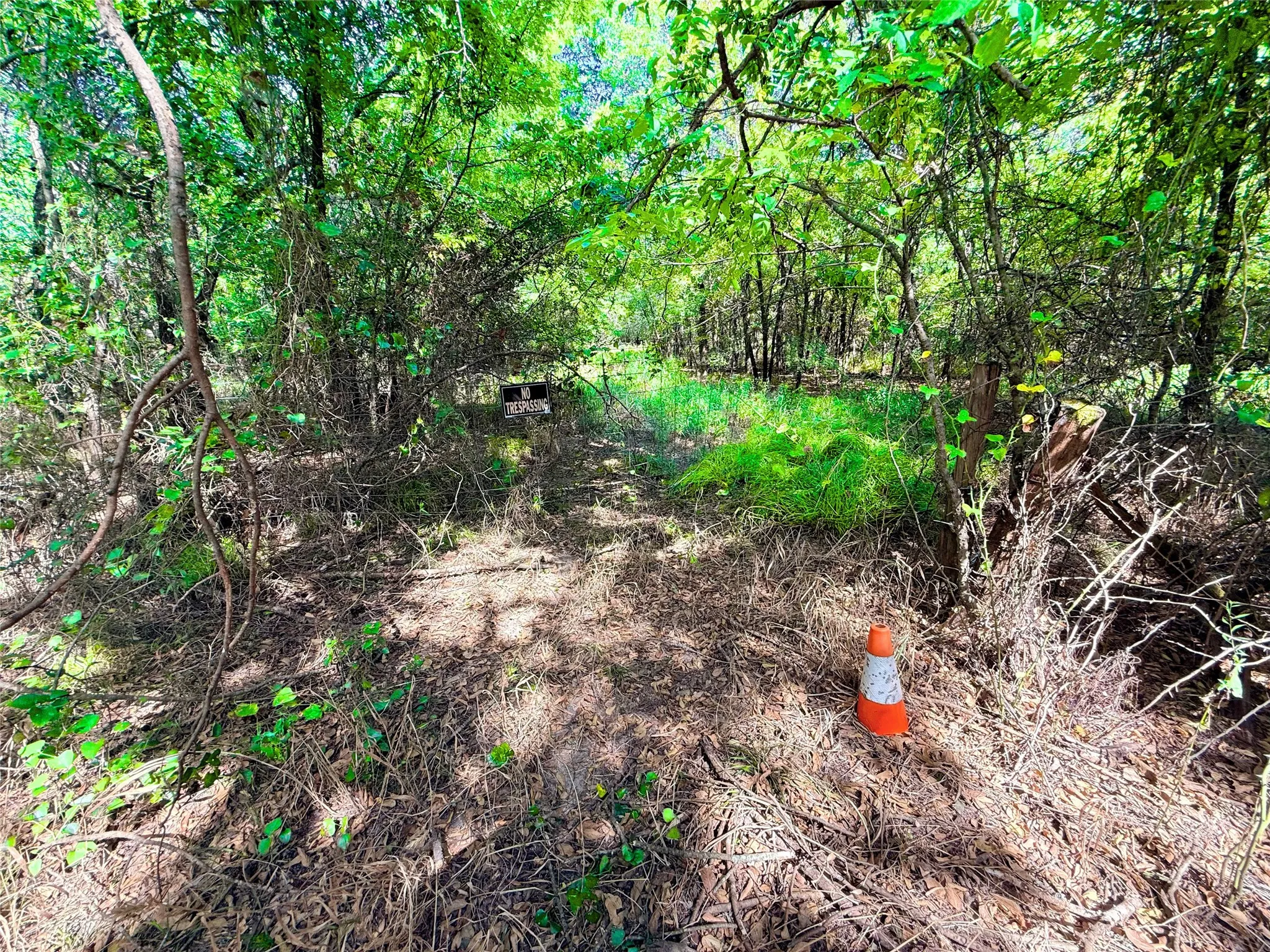 Property entry (starting behind the traffic cone)
