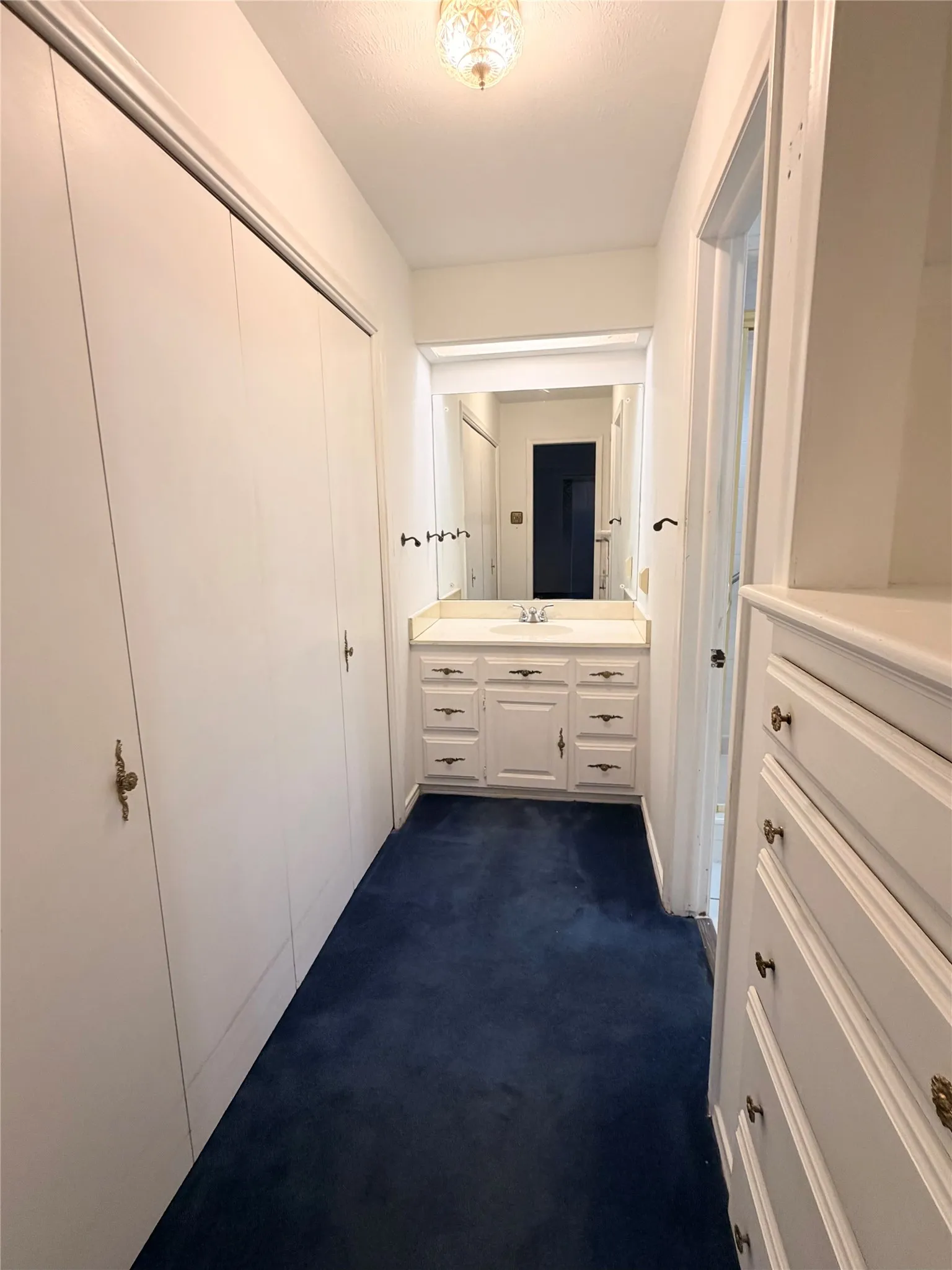 Separate Vanity with separate closet and Built ins