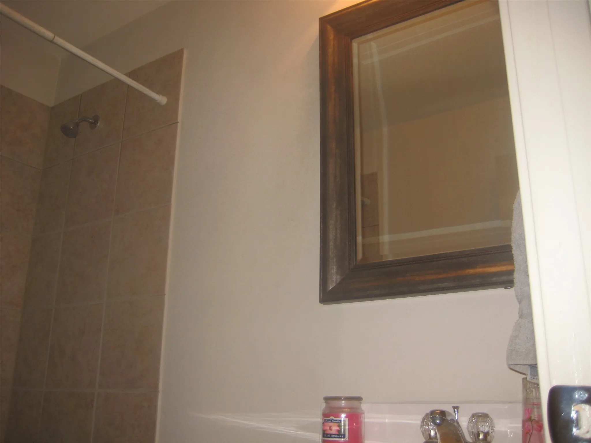 Hall bathroom with updated mirror and light