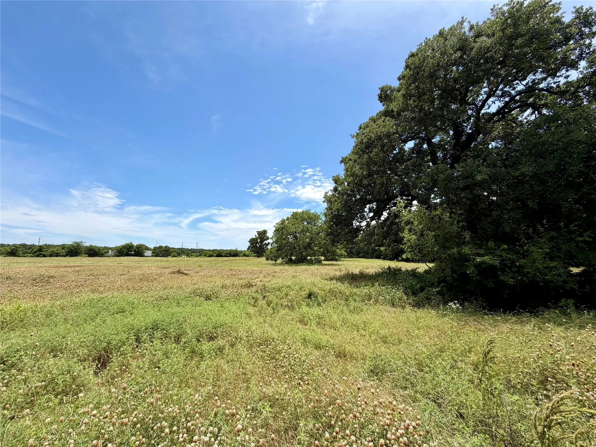 Warehouse For Sale in Montague County , 533 Redbird Lane, Bowie, Texas 76230, 0, 0, Garage spaces, 6,000 Sqft, built in 2005, mls#21361243, Real Estate Agent in Bowie, Homes For Sale in Montague county, Homes For Sale in Bowie, Realtor in Bowie Texas, Real Estate Brokerage Independent Realty Texas, Luminita Cordes Realtor