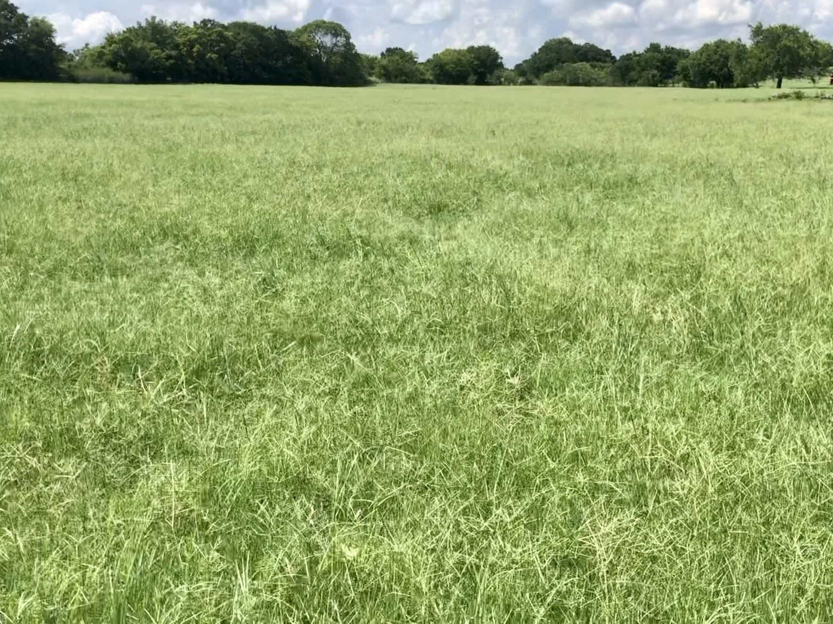 Warehouse For Sale in Montague County , 533 Redbird Lane, Bowie, Texas 76230, 0, 0, Garage spaces, 6,000 Sqft, built in 2005, mls#21361243, Real Estate Agent in Bowie, Homes For Sale in Montague county, Homes For Sale in Bowie, Realtor in Bowie Texas, Real Estate Brokerage Independent Realty Texas, Luminita Cordes Realtor
