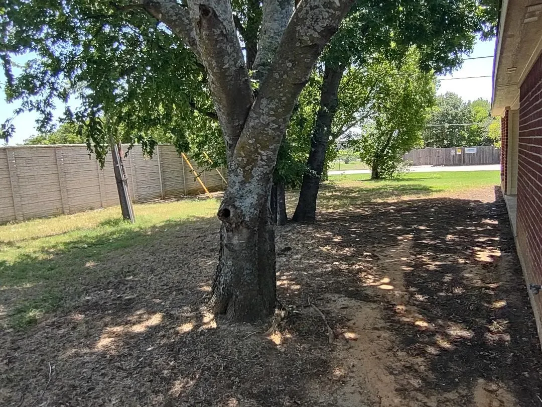Single Family Residence For Rent in Tarrant County , 500 Fort Worth Street, Mansfield, Texas 76063, 4 Bedroom, 2 Bathroom, 2 Garage spaces, 1,651 Sqft, built in 1996, mls#21362644, Real Estate Agent in Mansfield, Homes For Rent in Tarrant county, Homes For Rent in Mansfield, Realtor in Mansfield Texas, Real Estate Brokerage Independent Realty Texas, Luminita Cordes Realtor