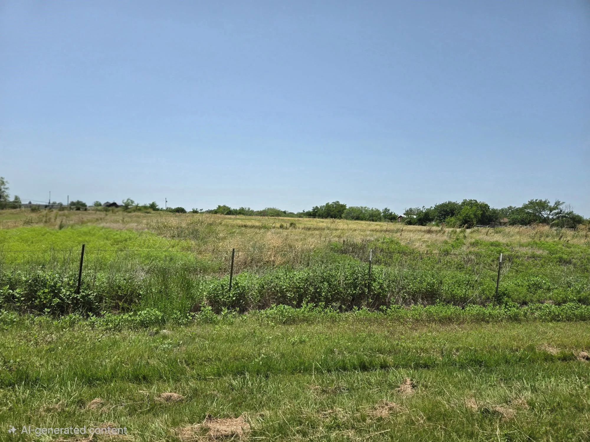 Unimproved Land For Sale in Kaufman County , tbd High Point Road, Terrell, Texas 75160, 0, 0, Garage spaces, 0 Sqft, built in 0, Price $250,000, mls#21359460, Real Estate Agent in Terrell, Homes For Sale in Kaufman county, Homes For Sale in Terrell, Realtor in Terrell Texas, Real Estate Brokerage Independent Realty Texas, Luminita Cordes Realtor