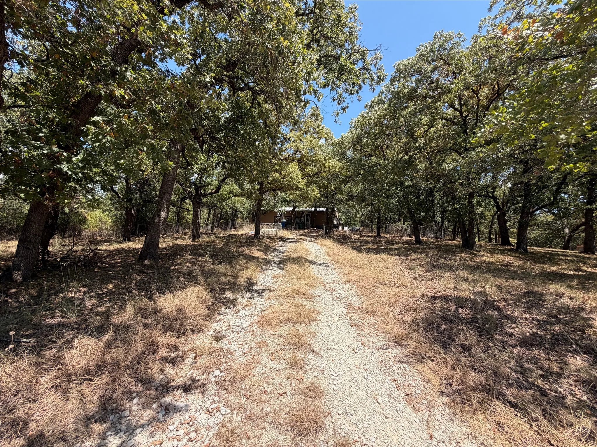 Gravel drive bordered by mature deciduous trees