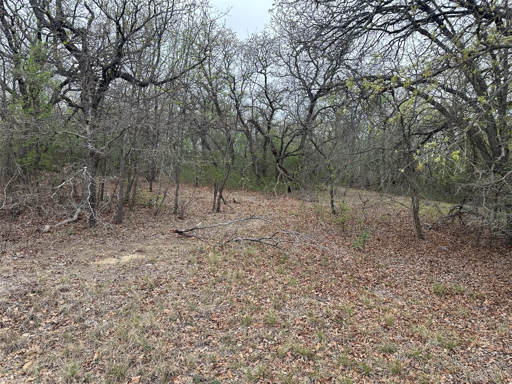 View of nature
