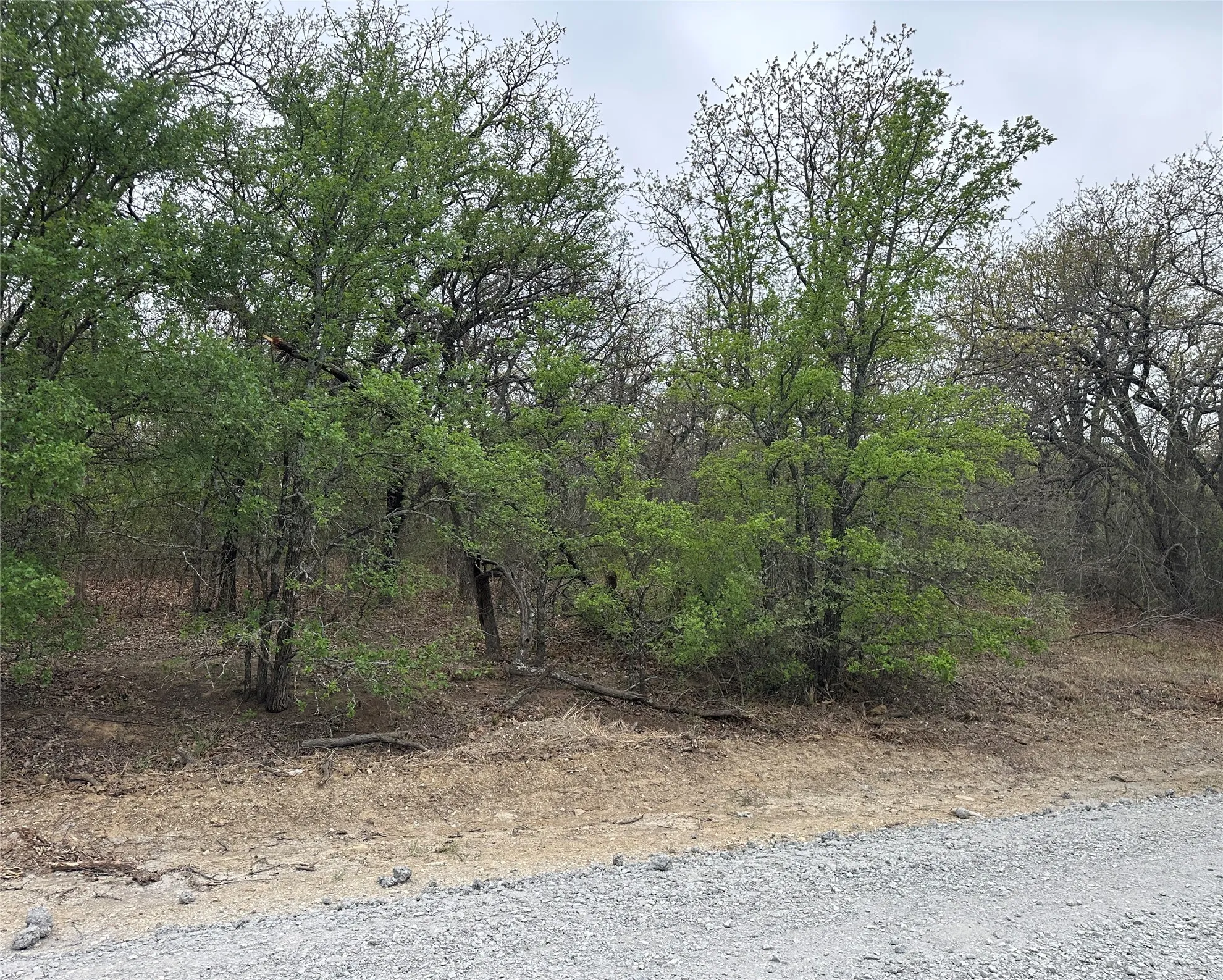 Unimproved Land For Sale in Wise County , TBD Martins Lane, Runaway Bay, Texas 76426, 0, 0, Garage spaces, 0 Sqft, built in 0, mls#21362686, Real Estate Agent in Runaway Bay, Homes For Sale in Wise county, Homes For Sale in Runaway Bay, Realtor in Runaway Bay Texas, Real Estate Brokerage Independent Realty Texas, Luminita Cordes Realtor