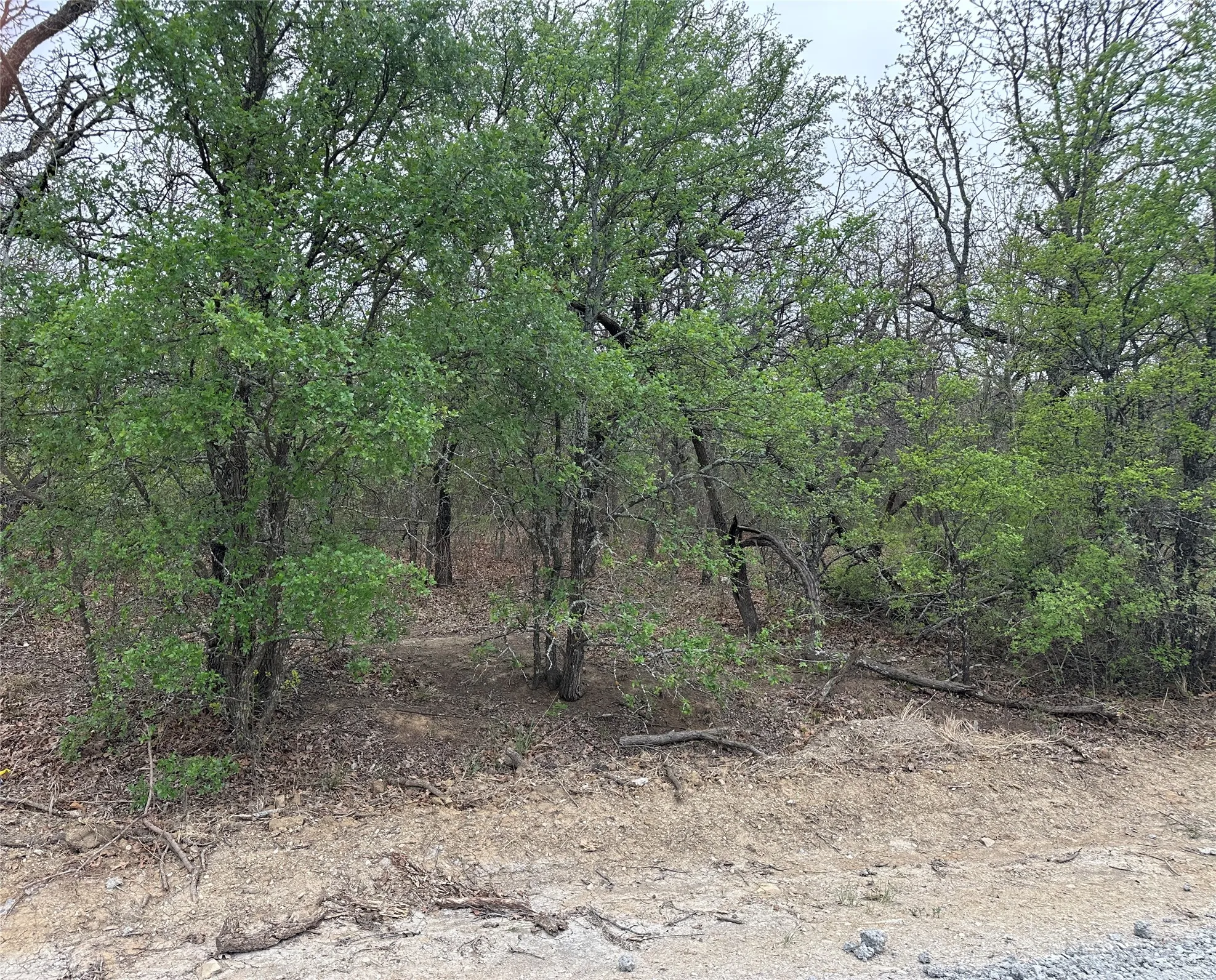 View of landscape featuring a forest view