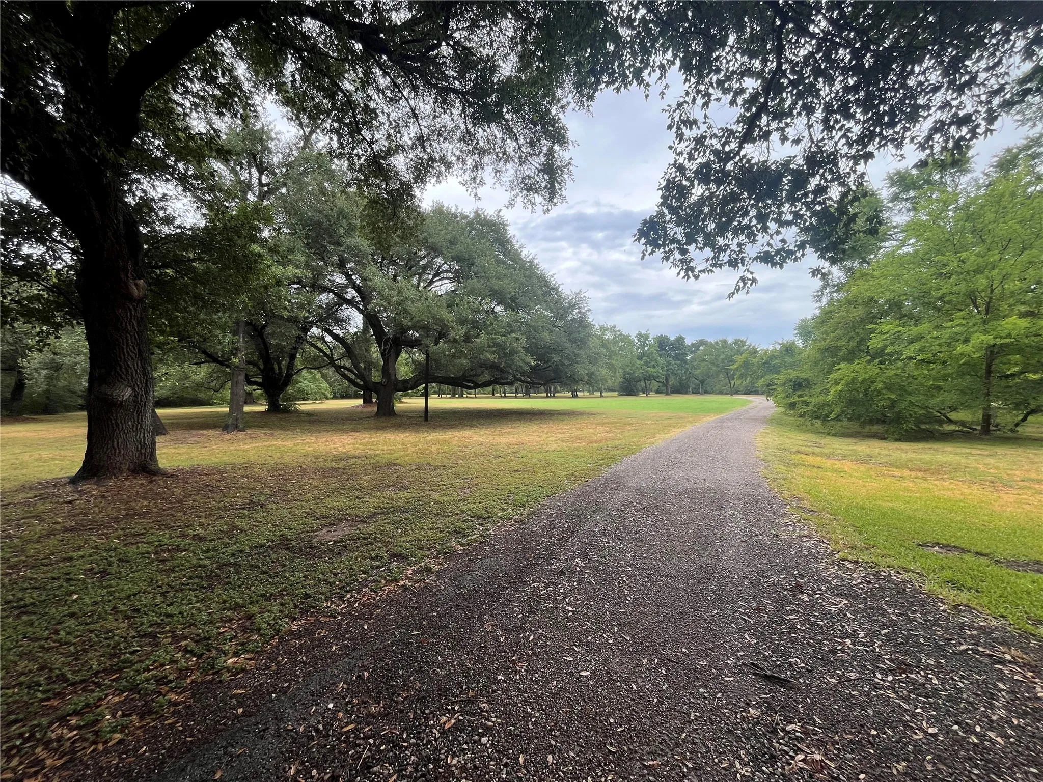 Farm For Sale in Freestone County , 1747 W Highway 84, Mexia, Texas 76667, 5 Bedroom, 4 Bathroom, Garage spaces, 4,276 Sqft, built in 1932, mls#21332065, Real Estate Agent in Mexia, Homes For Sale in Freestone county, Homes For Sale in Mexia, Realtor in Mexia Texas, Real Estate Brokerage Independent Realty Texas, Luminita Cordes Realtor