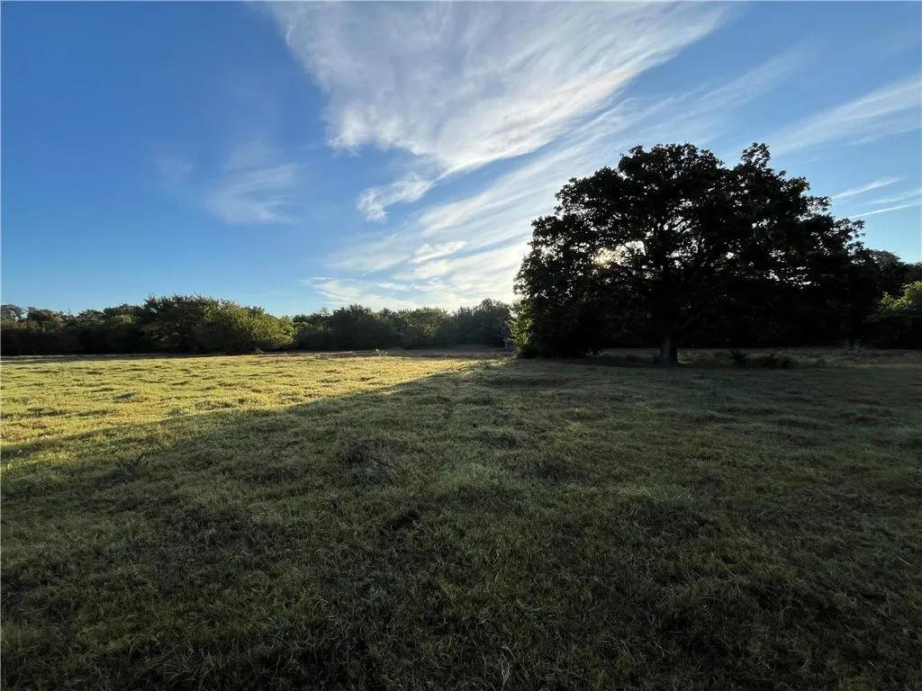 Farm For Sale in Freestone County , 1747 W Highway 84, Mexia, Texas 76667, 5 Bedroom, 4 Bathroom, Garage spaces, 4,276 Sqft, built in 1932, mls#21332065, Real Estate Agent in Mexia, Homes For Sale in Freestone county, Homes For Sale in Mexia, Realtor in Mexia Texas, Real Estate Brokerage Independent Realty Texas, Luminita Cordes Realtor