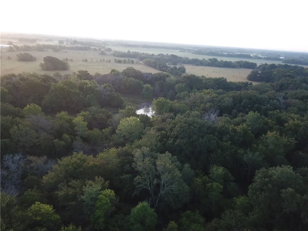 Farm For Sale in Freestone County , 1747 W Highway 84, Mexia, Texas 76667, 5 Bedroom, 4 Bathroom, Garage spaces, 4,276 Sqft, built in 1932, mls#21332065, Real Estate Agent in Mexia, Homes For Sale in Freestone county, Homes For Sale in Mexia, Realtor in Mexia Texas, Real Estate Brokerage Independent Realty Texas, Luminita Cordes Realtor