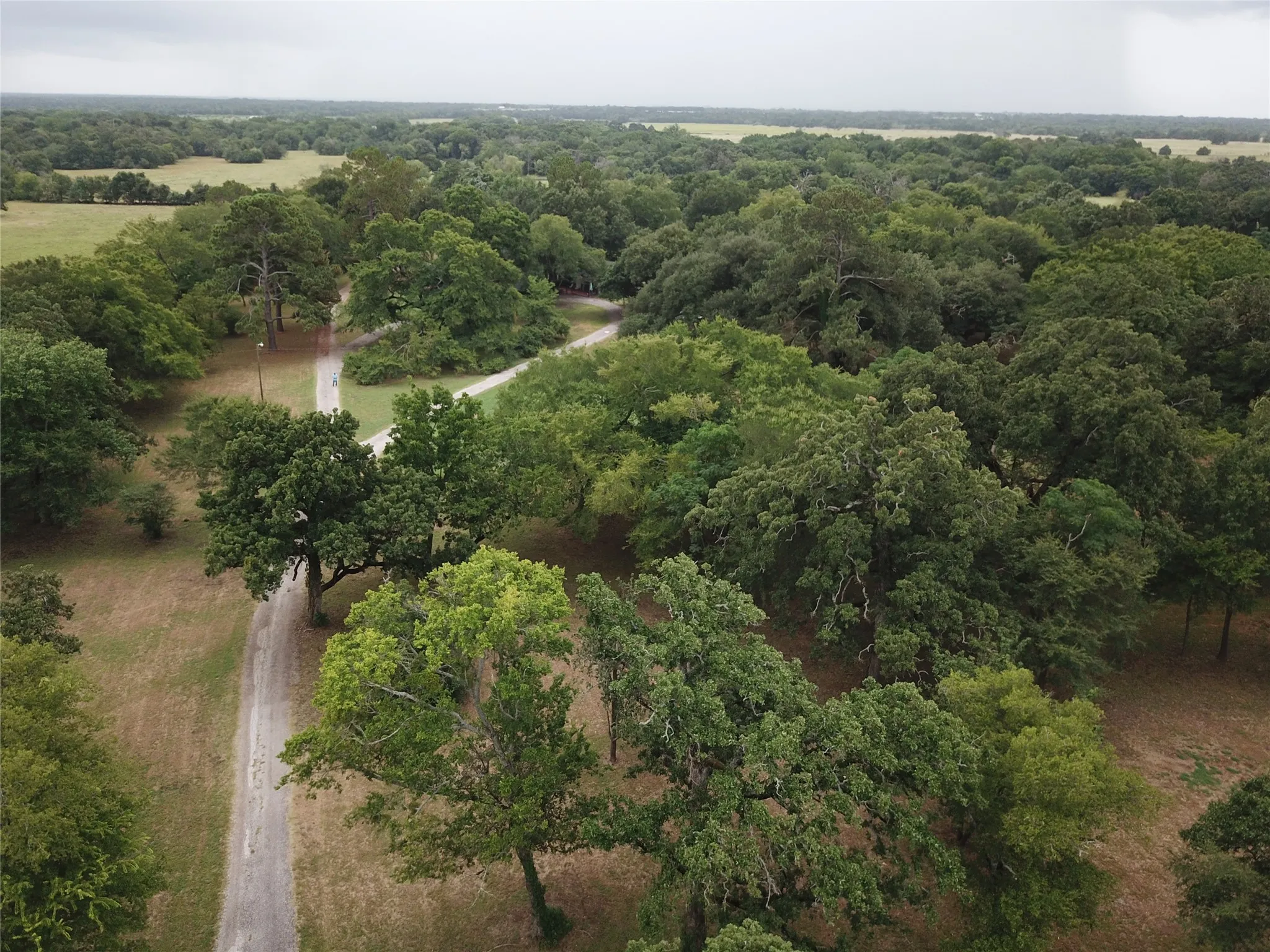 Farm For Sale in Freestone County , 1747 W Highway 84, Mexia, Texas 76667, 5 Bedroom, 4 Bathroom, Garage spaces, 4,276 Sqft, built in 1932, mls#21332065, Real Estate Agent in Mexia, Homes For Sale in Freestone county, Homes For Sale in Mexia, Realtor in Mexia Texas, Real Estate Brokerage Independent Realty Texas, Luminita Cordes Realtor