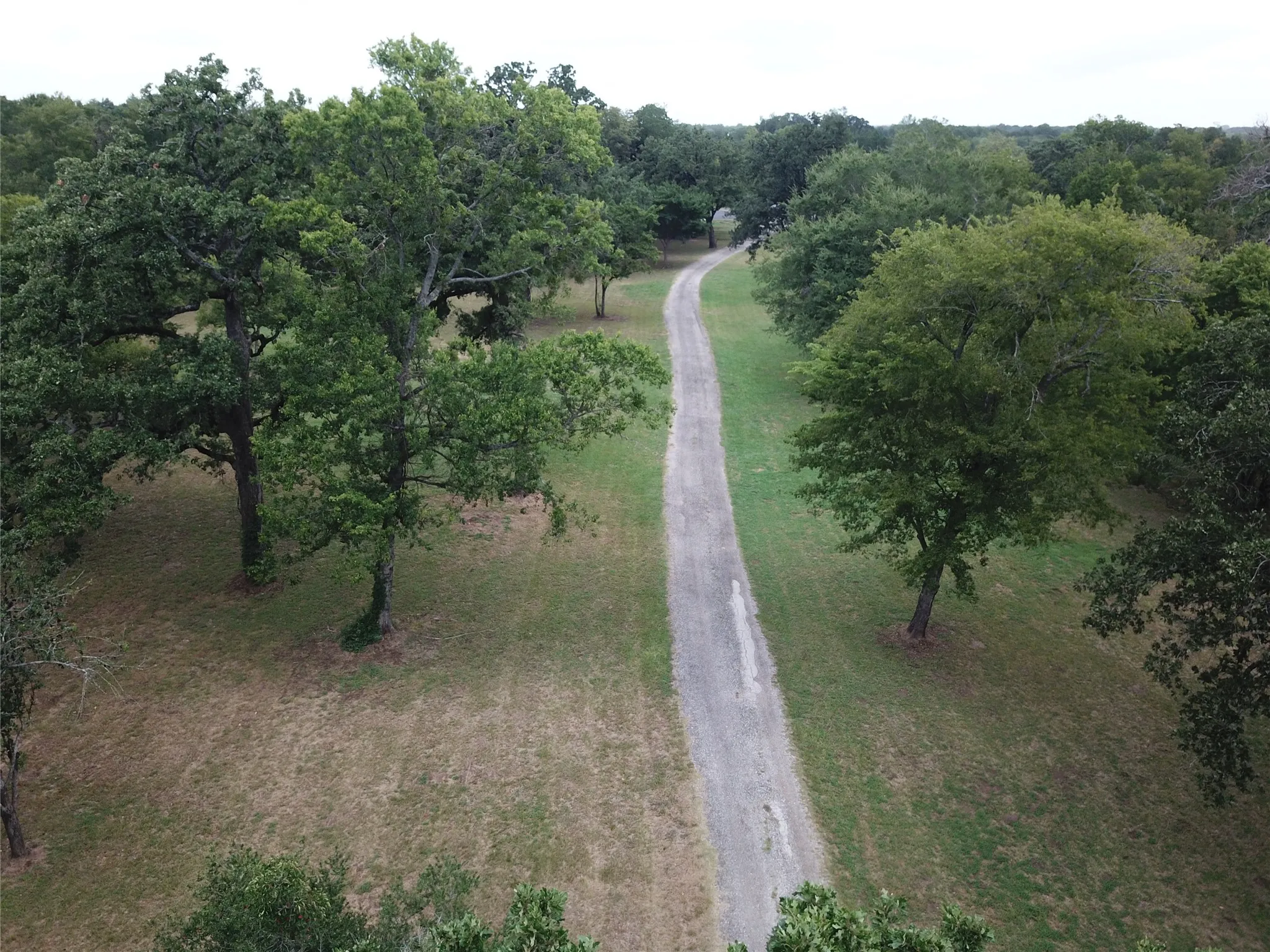 Farm For Sale in Freestone County , 1747 W Highway 84, Mexia, Texas 76667, 5 Bedroom, 4 Bathroom, Garage spaces, 4,276 Sqft, built in 1932, mls#21332065, Real Estate Agent in Mexia, Homes For Sale in Freestone county, Homes For Sale in Mexia, Realtor in Mexia Texas, Real Estate Brokerage Independent Realty Texas, Luminita Cordes Realtor