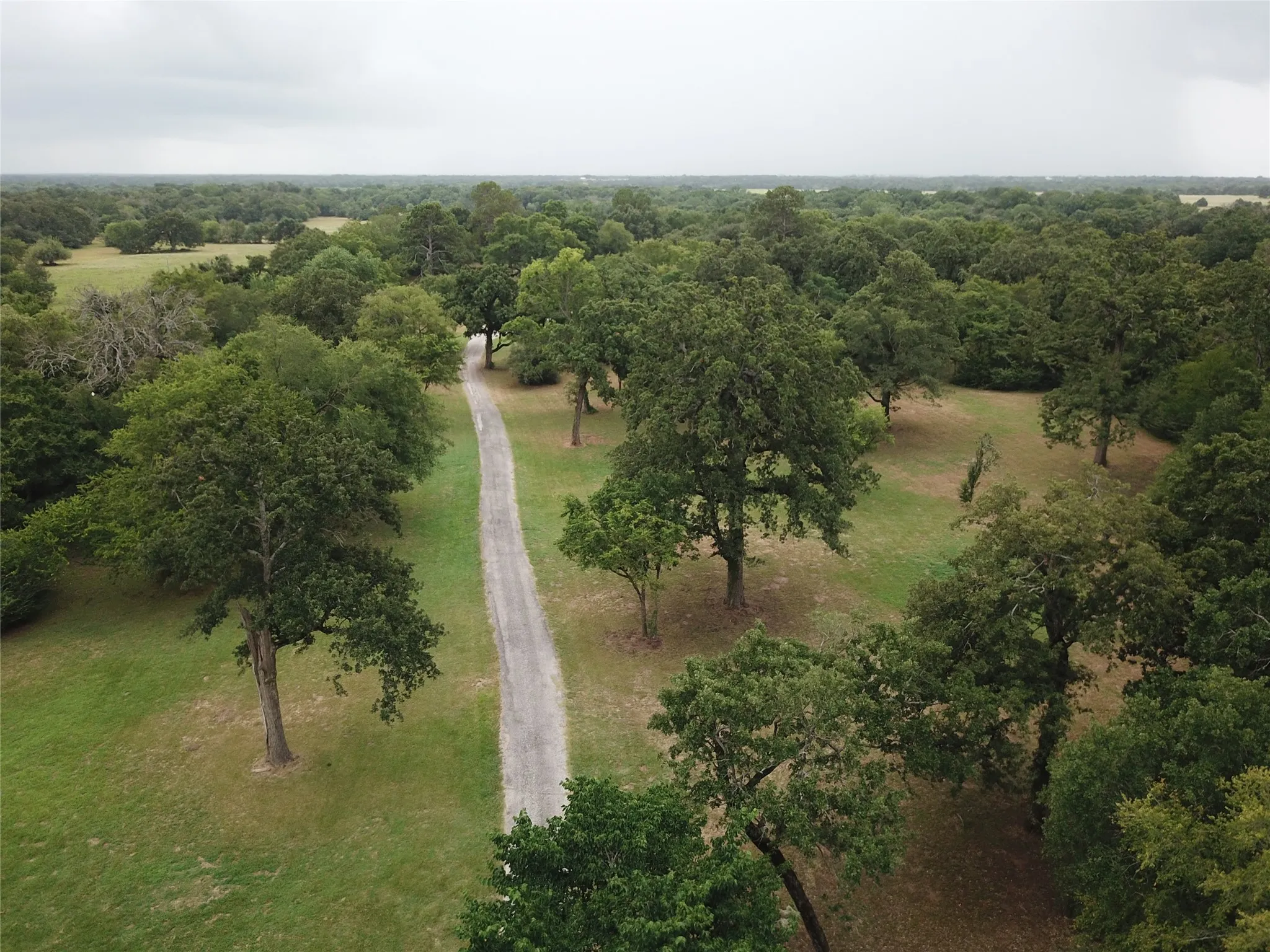 Farm For Sale in Freestone County , 1747 W Highway 84, Mexia, Texas 76667, 5 Bedroom, 4 Bathroom, Garage spaces, 4,276 Sqft, built in 1932, mls#21332065, Real Estate Agent in Mexia, Homes For Sale in Freestone county, Homes For Sale in Mexia, Realtor in Mexia Texas, Real Estate Brokerage Independent Realty Texas, Luminita Cordes Realtor