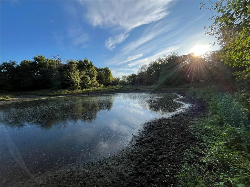Farm For Sale in Freestone County , 1747 W Highway 84, Mexia, Texas 76667, 5 Bedroom, 4 Bathroom, Garage spaces, 4,276 Sqft, built in 1932, mls#21332065, Real Estate Agent in Mexia, Homes For Sale in Freestone county, Homes For Sale in Mexia, Realtor in Mexia Texas, Real Estate Brokerage Independent Realty Texas, Luminita Cordes Realtor