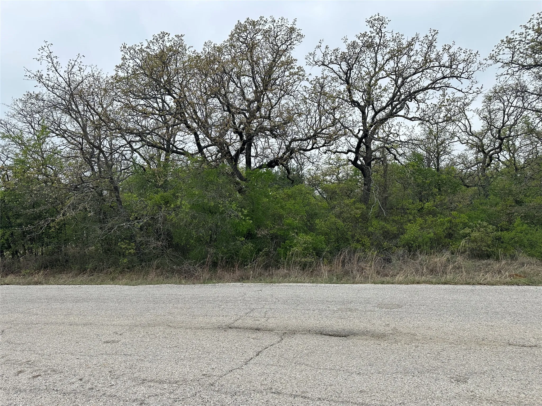 Unimproved Land For Sale in Wise County , TBD Jim Walters Drive, Runaway Bay, Texas 76426, 0, 0, Garage spaces, 0 Sqft, built in 0, Price $29,999, mls#21362702, Real Estate Agent in Runaway Bay, Homes For Sale in Wise county, Homes For Sale in Runaway Bay, Realtor in Runaway Bay Texas, Real Estate Brokerage Independent Realty Texas, Luminita Cordes Realtor