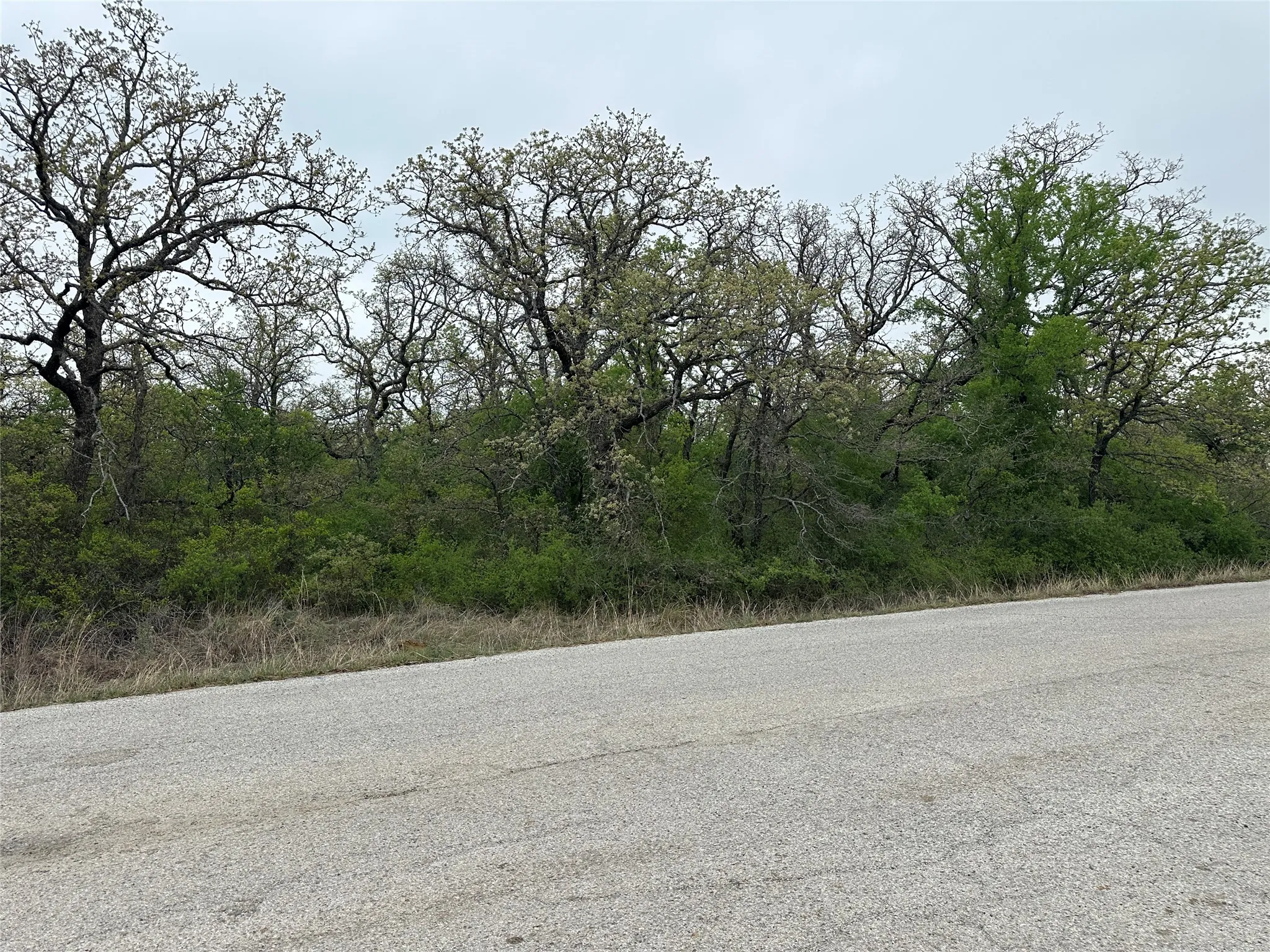 View of road