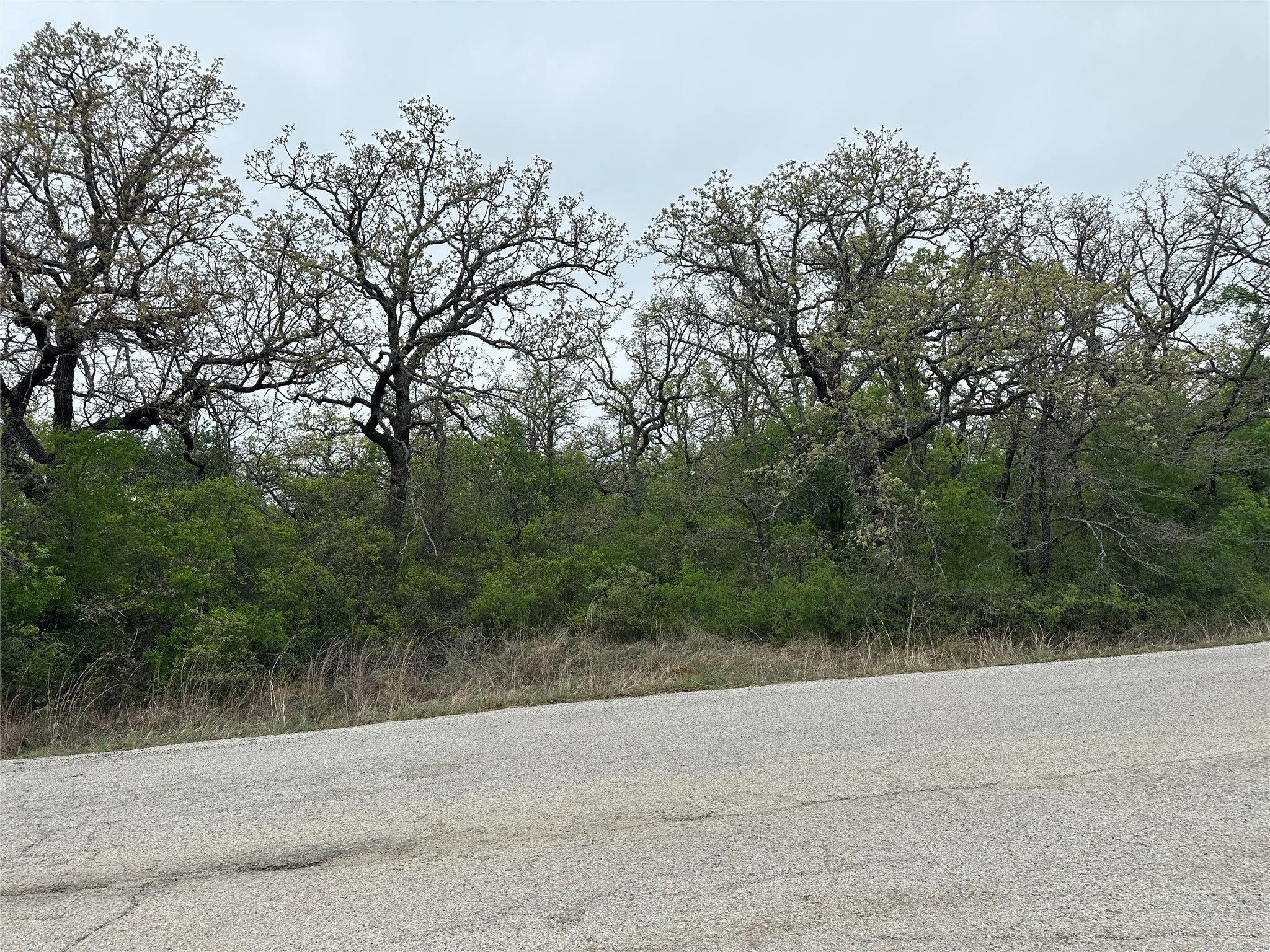 View of road