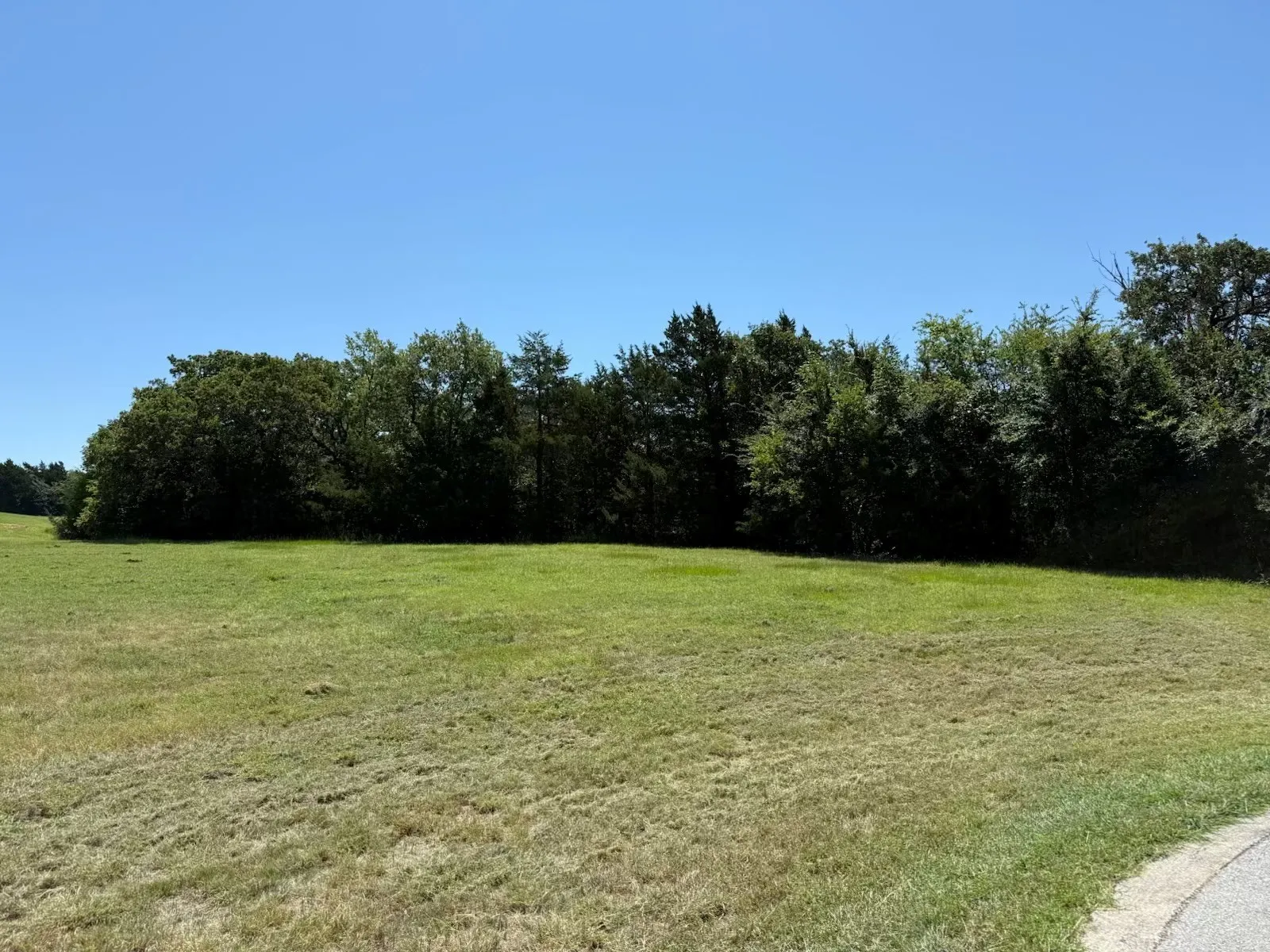 Unimproved Land For Sale in Grayson County , 44 Dublin Court, Gordonville, Texas 76245, 0, 0, Garage spaces, 0 Sqft, built in 0, Price $39,500, mls#21362718, Real Estate Agent in Gordonville, Homes For Sale in Grayson county, Homes For Sale in Gordonville, Realtor in Gordonville Texas, Real Estate Brokerage Independent Realty Texas, Luminita Cordes Realtor