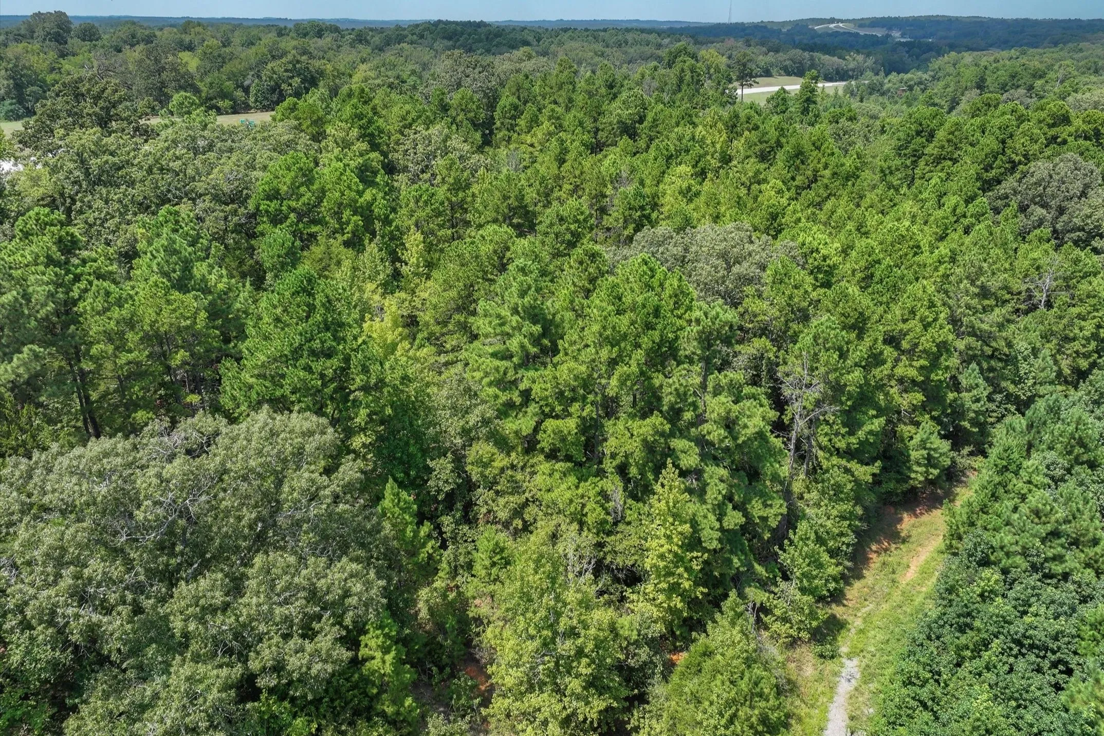 Unimproved Land For Sale in Smith County , 15307 Fm 849, Lindale, Texas 75771, 0, 0, Garage spaces, 0 Sqft, built in 0, Price $115,000, mls#21362706, Real Estate Agent in Lindale, Homes For Sale in Smith county, Homes For Sale in Lindale, Realtor in Lindale Texas, Real Estate Brokerage Independent Realty Texas, Luminita Cordes Realtor