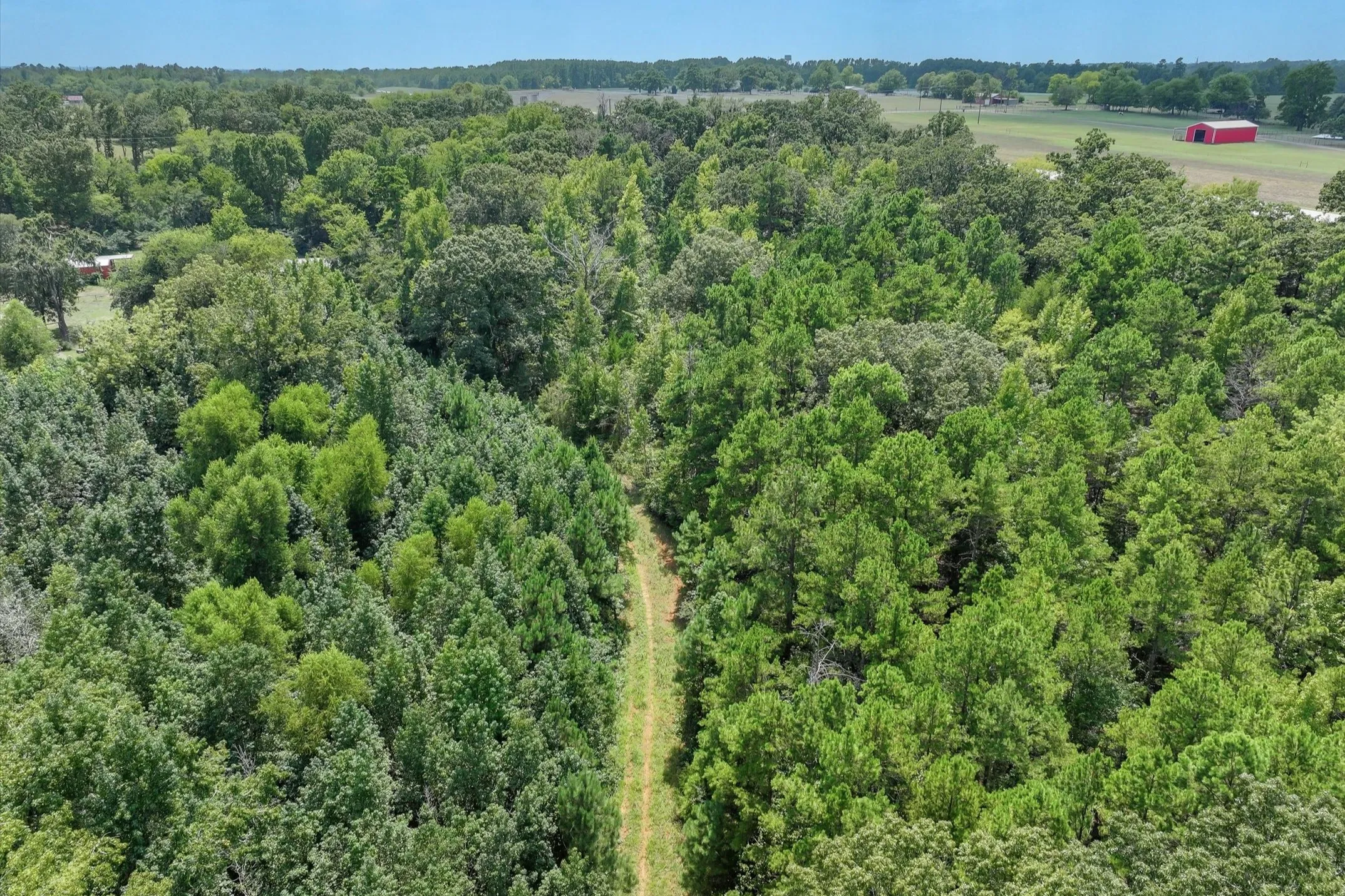 Unimproved Land For Sale in Smith County , 15307 Fm 849, Lindale, Texas 75771, 0, 0, Garage spaces, 0 Sqft, built in 0, Price $115,000, mls#21362706, Real Estate Agent in Lindale, Homes For Sale in Smith county, Homes For Sale in Lindale, Realtor in Lindale Texas, Real Estate Brokerage Independent Realty Texas, Luminita Cordes Realtor