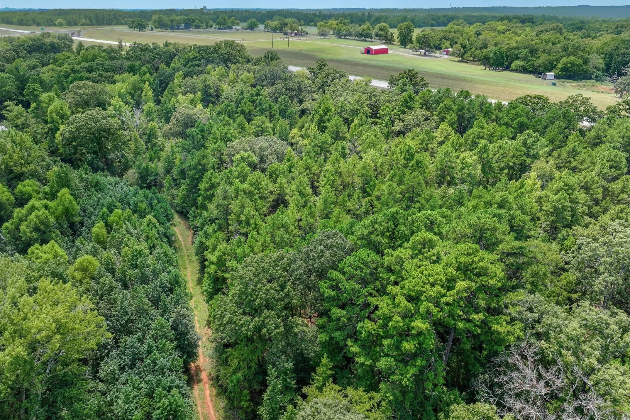 Unimproved Land For Sale in Smith County , 15307 Fm 849, Lindale, Texas 75771, 0, 0, Garage spaces, 0 Sqft, built in 0, Price $115,000, mls#21362706, Real Estate Agent in Lindale, Homes For Sale in Smith county, Homes For Sale in Lindale, Realtor in Lindale Texas, Real Estate Brokerage Independent Realty Texas, Luminita Cordes Realtor