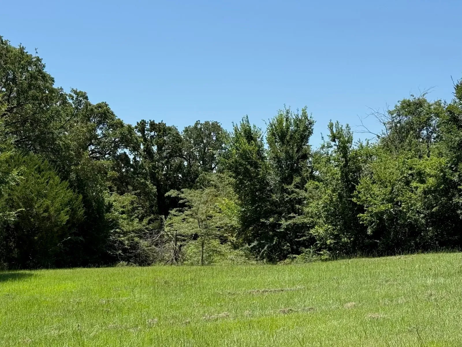 View of wooded area