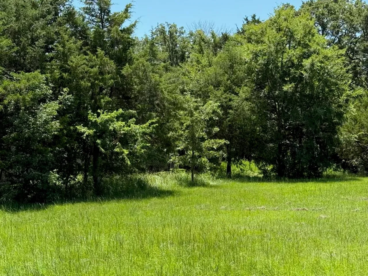 View of undeveloped land