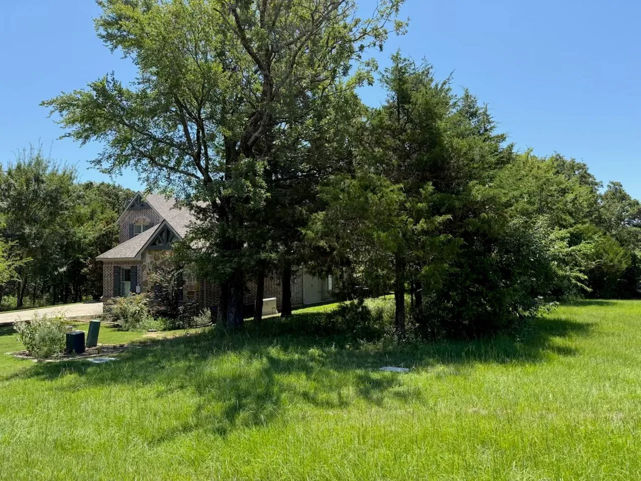 Next door neighbor with privacy trees the left side of the lot