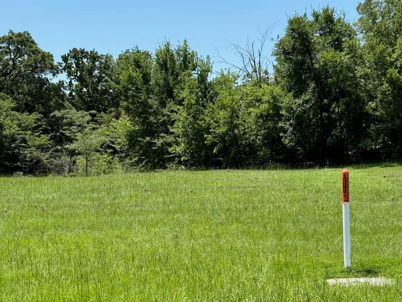 View of yard featuring a forest view