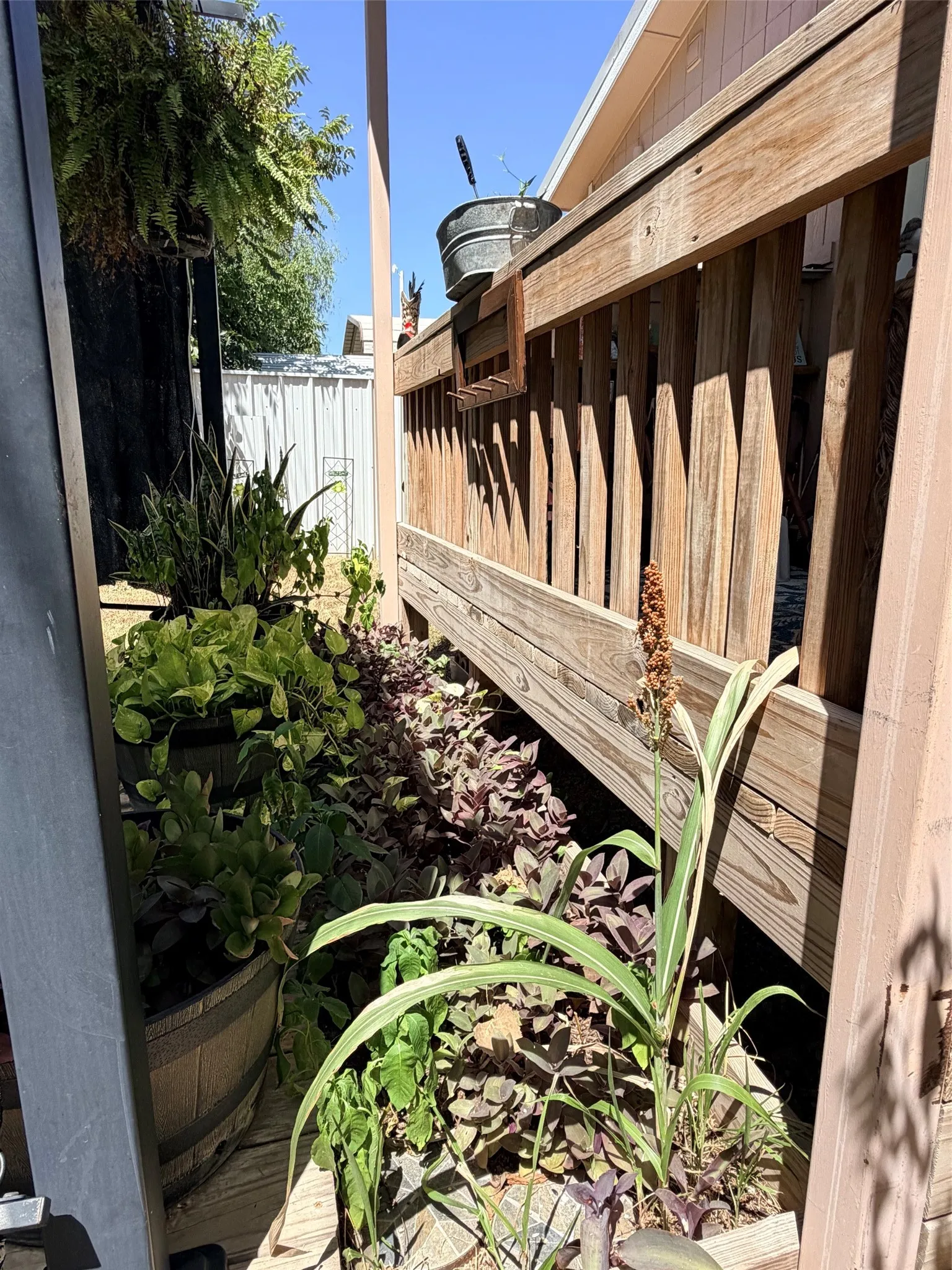 Single Family Residence For Sale in Comanche County , 230 Treasure Beach, Comanche, Texas 76442, 1 Bedroom, 1 Bathroom, Garage spaces, 816 Sqft, built in 2019, mls#21362678, Real Estate Agent in Comanche, Homes For Sale in Comanche county, Homes For Sale in Comanche, Realtor in Comanche Texas, Real Estate Brokerage Independent Realty Texas, Luminita Cordes Realtor