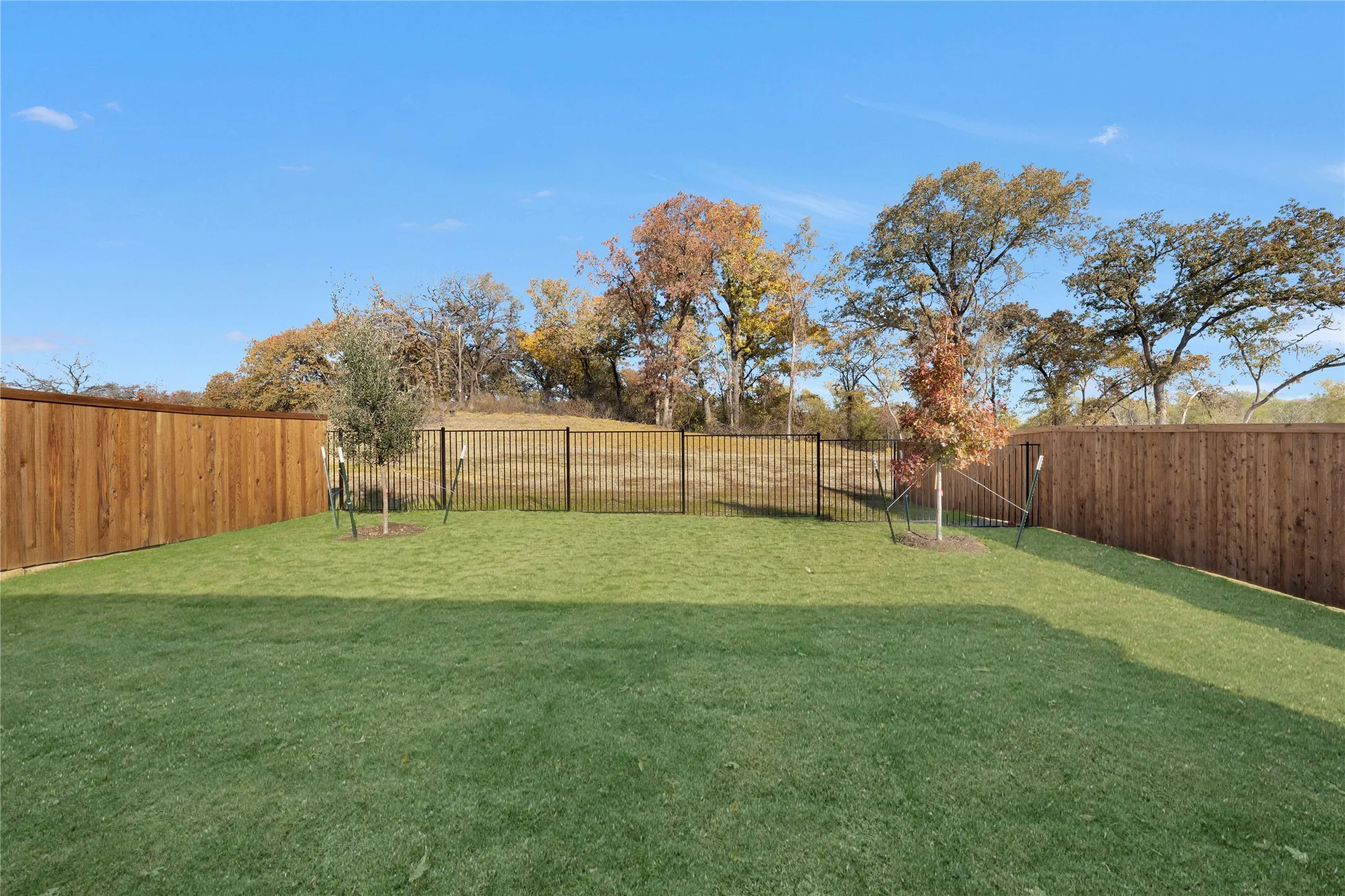 Single Family Residence For Rent in Denton County , 11025 Triple Crown Court, Providence Village, Texas 76227, 4 Bedroom, 2 Bathroom, 2 Garage spaces, 1,796 Sqft, built in 2024, mls#21360263, Real Estate Agent in Providence Village, Homes For Rent in Denton county, Homes For Rent in Providence Village, Realtor in Providence Village Texas, Real Estate Brokerage Independent Realty Texas, Luminita Cordes Realtor