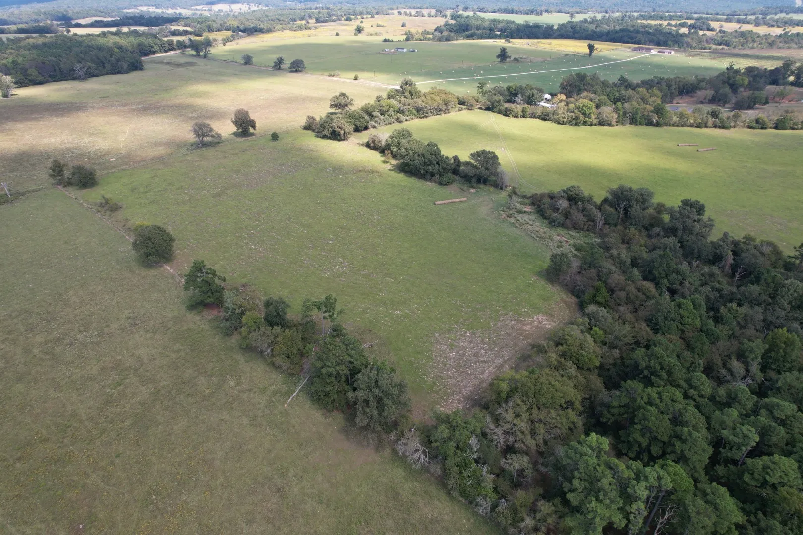Unimproved Land For Sale in Anderson County , TBD CR 435, Frankston, Texas 75763, 0, 0, Garage spaces, 0 Sqft, built in 0, Price $395,000, mls#21362774, Real Estate Agent in Frankston, Homes For Sale in Anderson county, Homes For Sale in Frankston, Realtor in Frankston Texas, Real Estate Brokerage Independent Realty Texas, Luminita Cordes Realtor