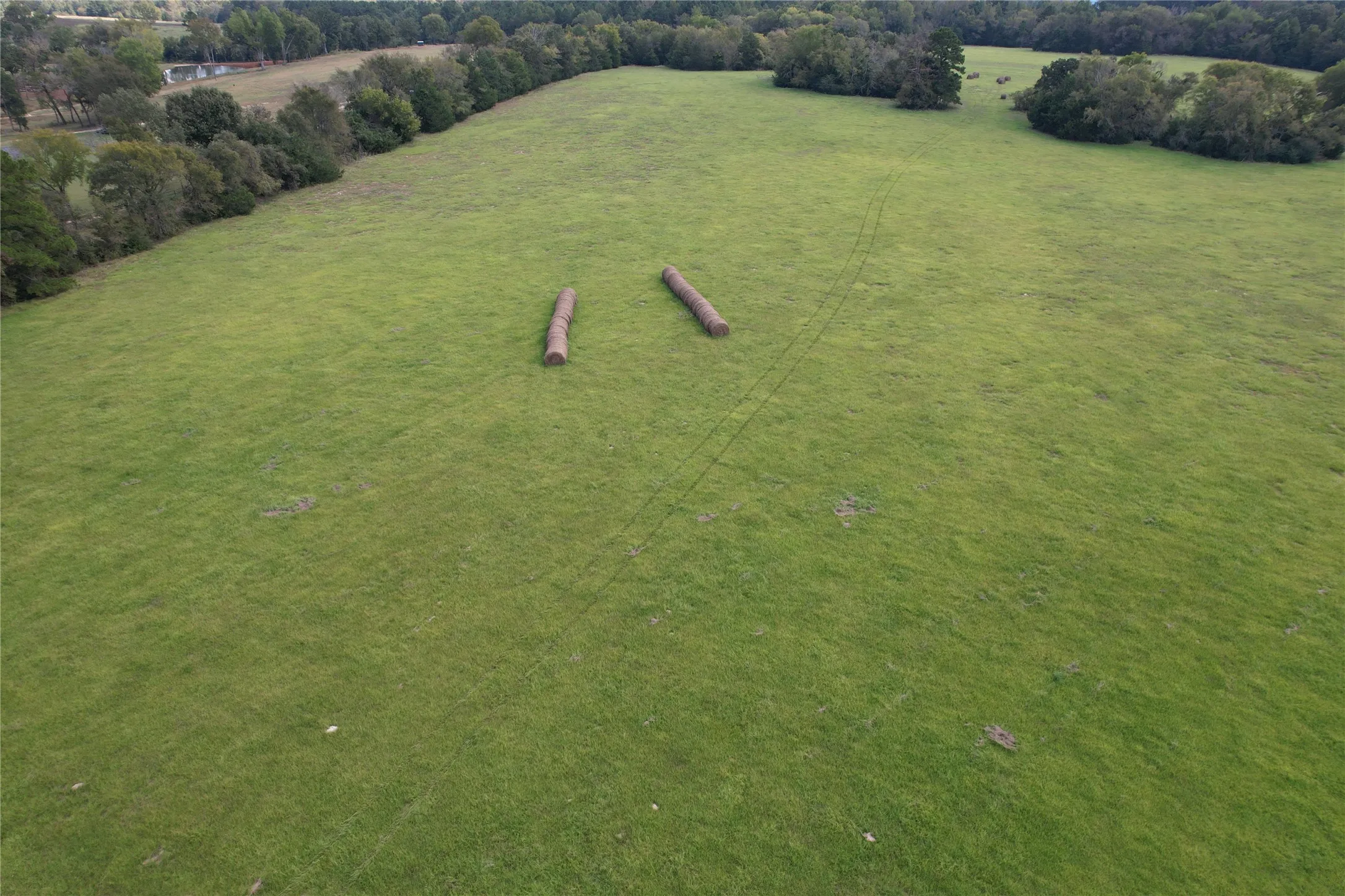 Unimproved Land For Sale in Anderson County , TBD CR 435, Frankston, Texas 75763, 0, 0, Garage spaces, 0 Sqft, built in 0, Price $395,000, mls#21362774, Real Estate Agent in Frankston, Homes For Sale in Anderson county, Homes For Sale in Frankston, Realtor in Frankston Texas, Real Estate Brokerage Independent Realty Texas, Luminita Cordes Realtor