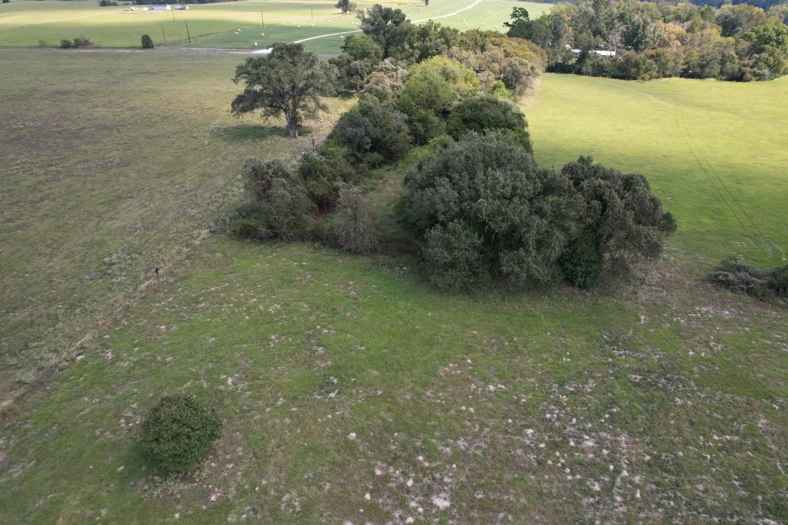 Unimproved Land For Sale in Anderson County , TBD CR 435, Frankston, Texas 75763, 0, 0, Garage spaces, 0 Sqft, built in 0, Price $395,000, mls#21362774, Real Estate Agent in Frankston, Homes For Sale in Anderson county, Homes For Sale in Frankston, Realtor in Frankston Texas, Real Estate Brokerage Independent Realty Texas, Luminita Cordes Realtor