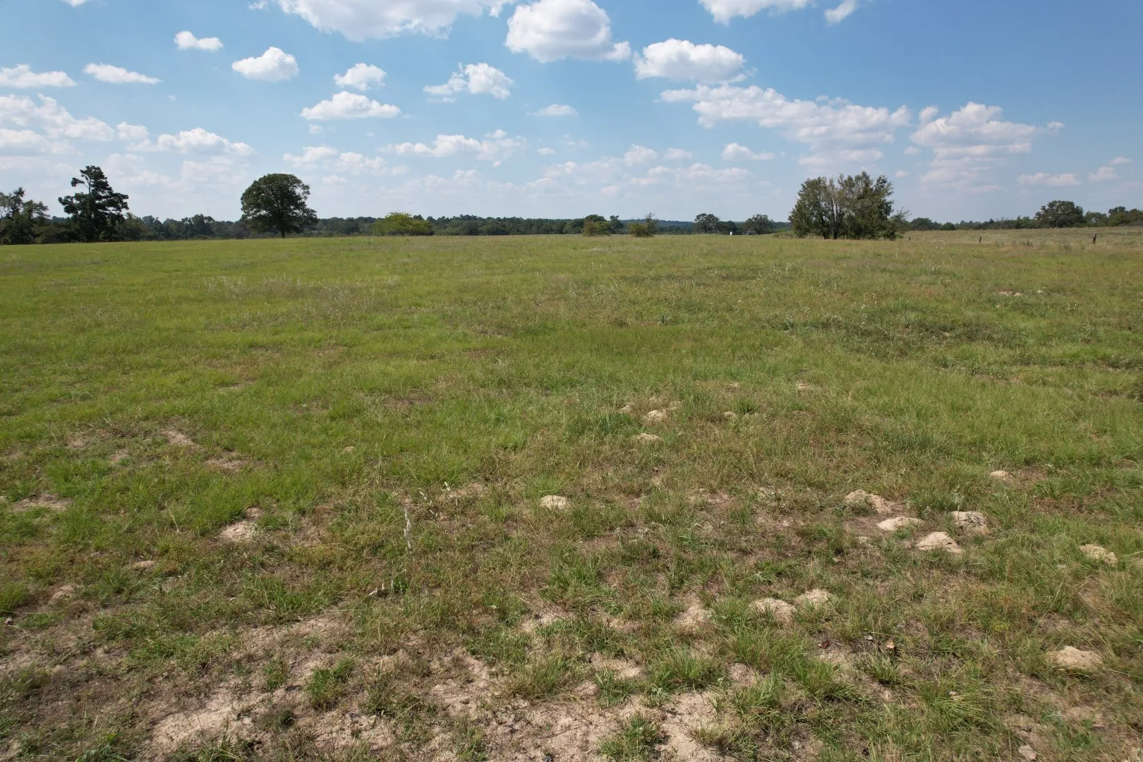 Unimproved Land For Sale in Anderson County , TBD CR 435, Frankston, Texas 75763, 0, 0, Garage spaces, 0 Sqft, built in 0, Price $395,000, mls#21362774, Real Estate Agent in Frankston, Homes For Sale in Anderson county, Homes For Sale in Frankston, Realtor in Frankston Texas, Real Estate Brokerage Independent Realty Texas, Luminita Cordes Realtor